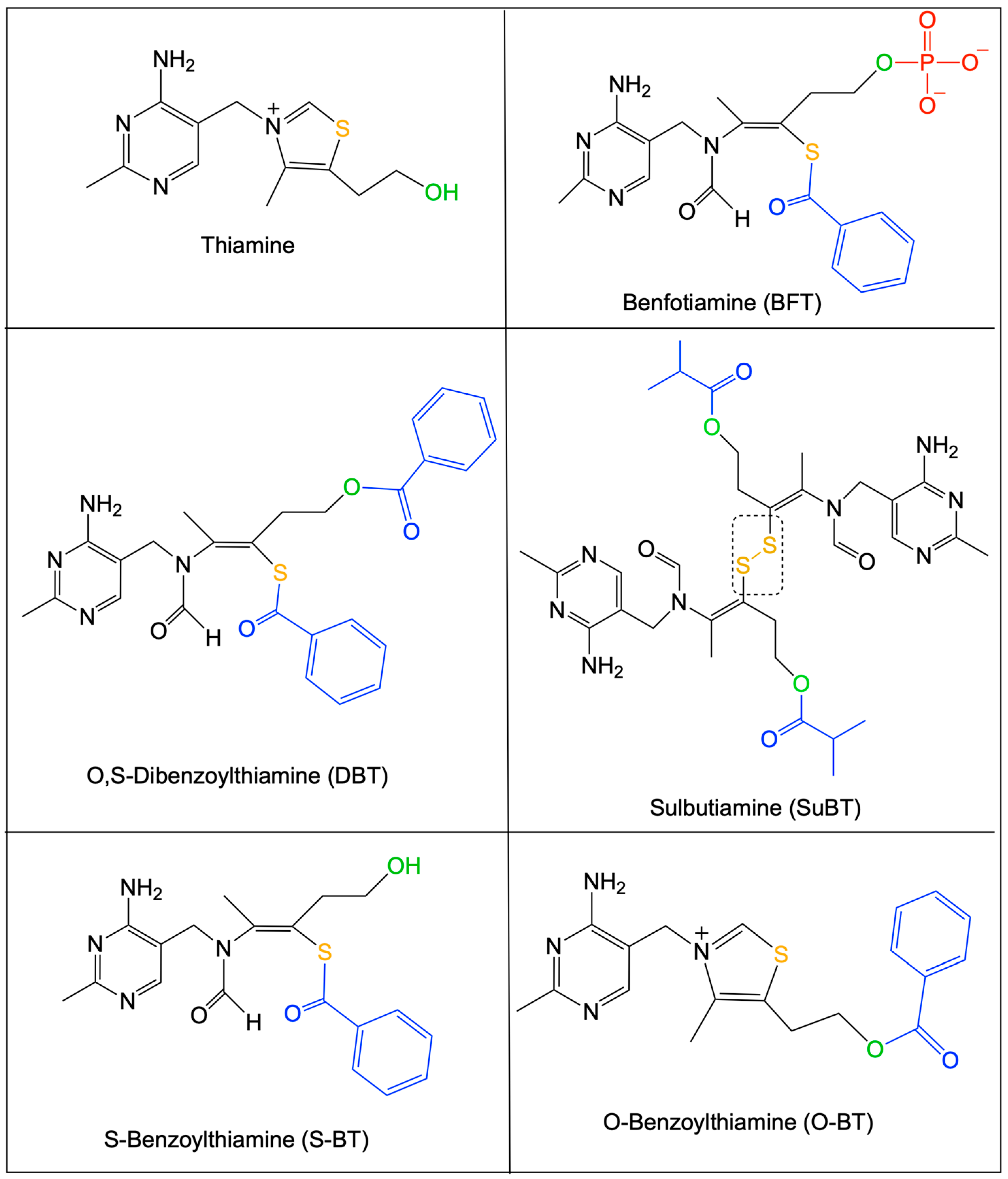 Ijms 24 11296 g001 Ijms 24 11296 g001