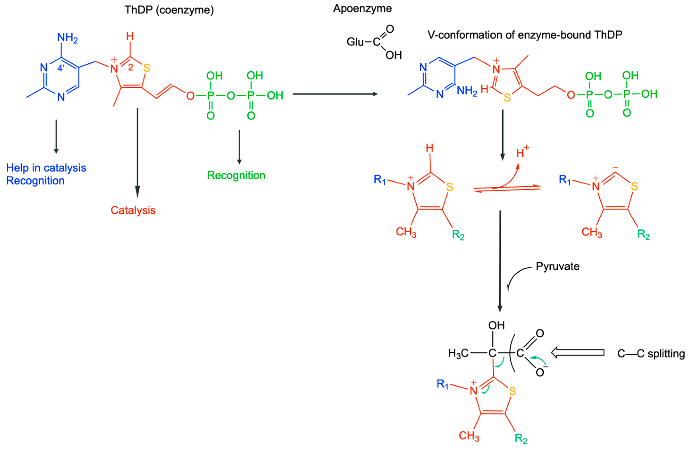 Ijms 24 11296 g004 Ijms 24 11296 g004