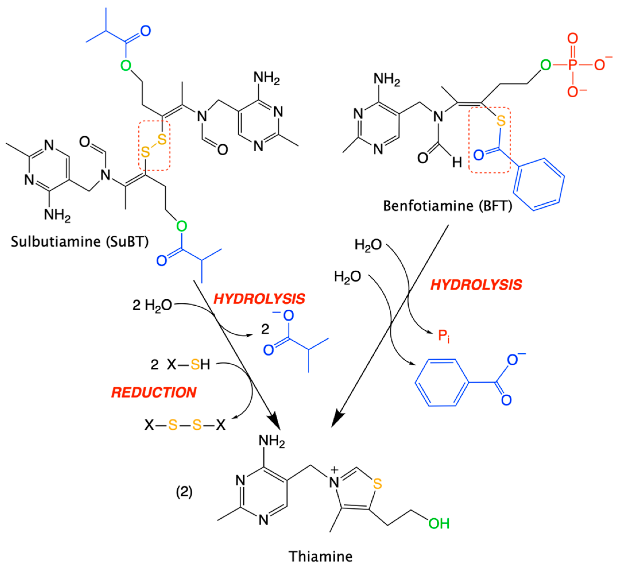 Ijms 24 11296 g007 Ijms 24 11296 g007