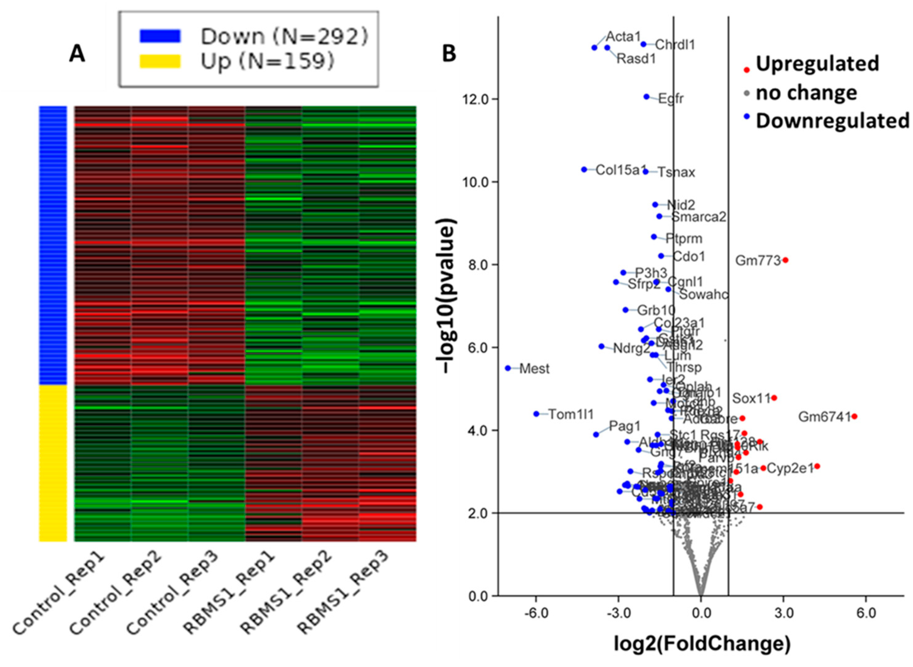 Ijms 24 11300 g005 Ijms 24 11300 g005