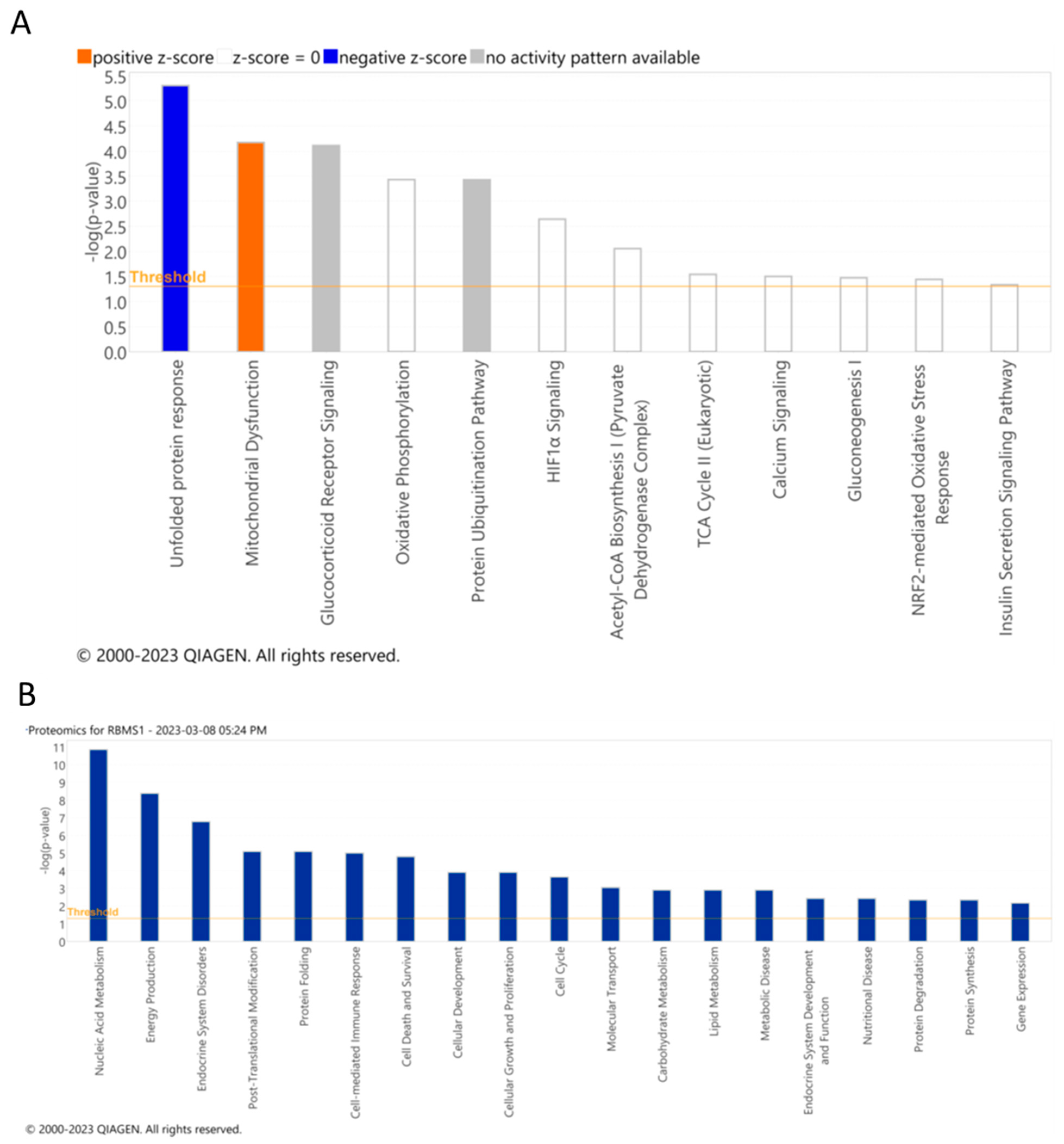 Ijms 24 11300 g007 Ijms 24 11300 g007