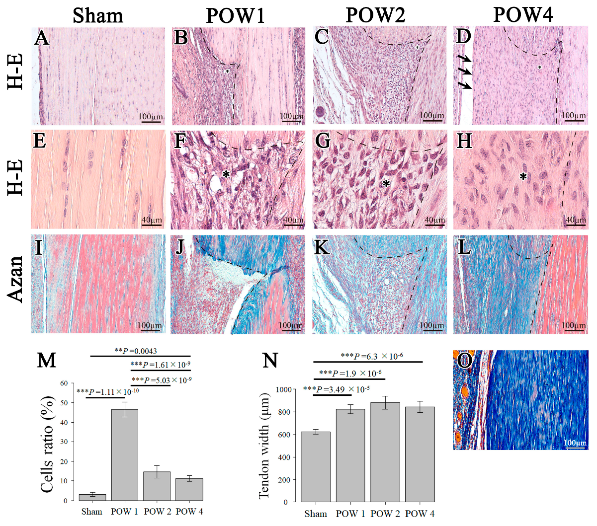 Ijms 24 11305 g002 Ijms 24 11305 g002