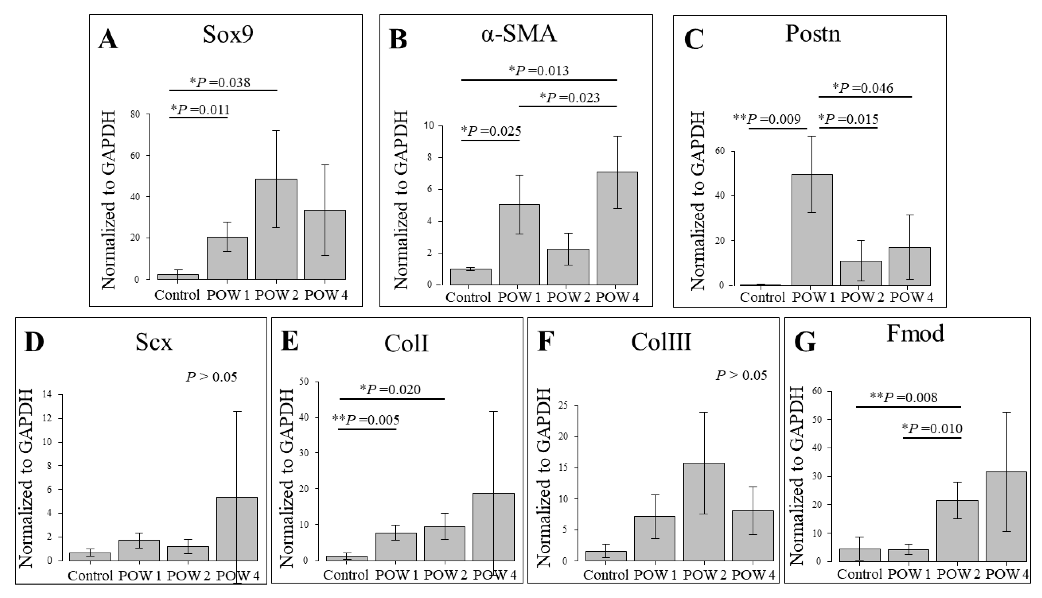 Ijms 24 11305 g003 Ijms 24 11305 g003
