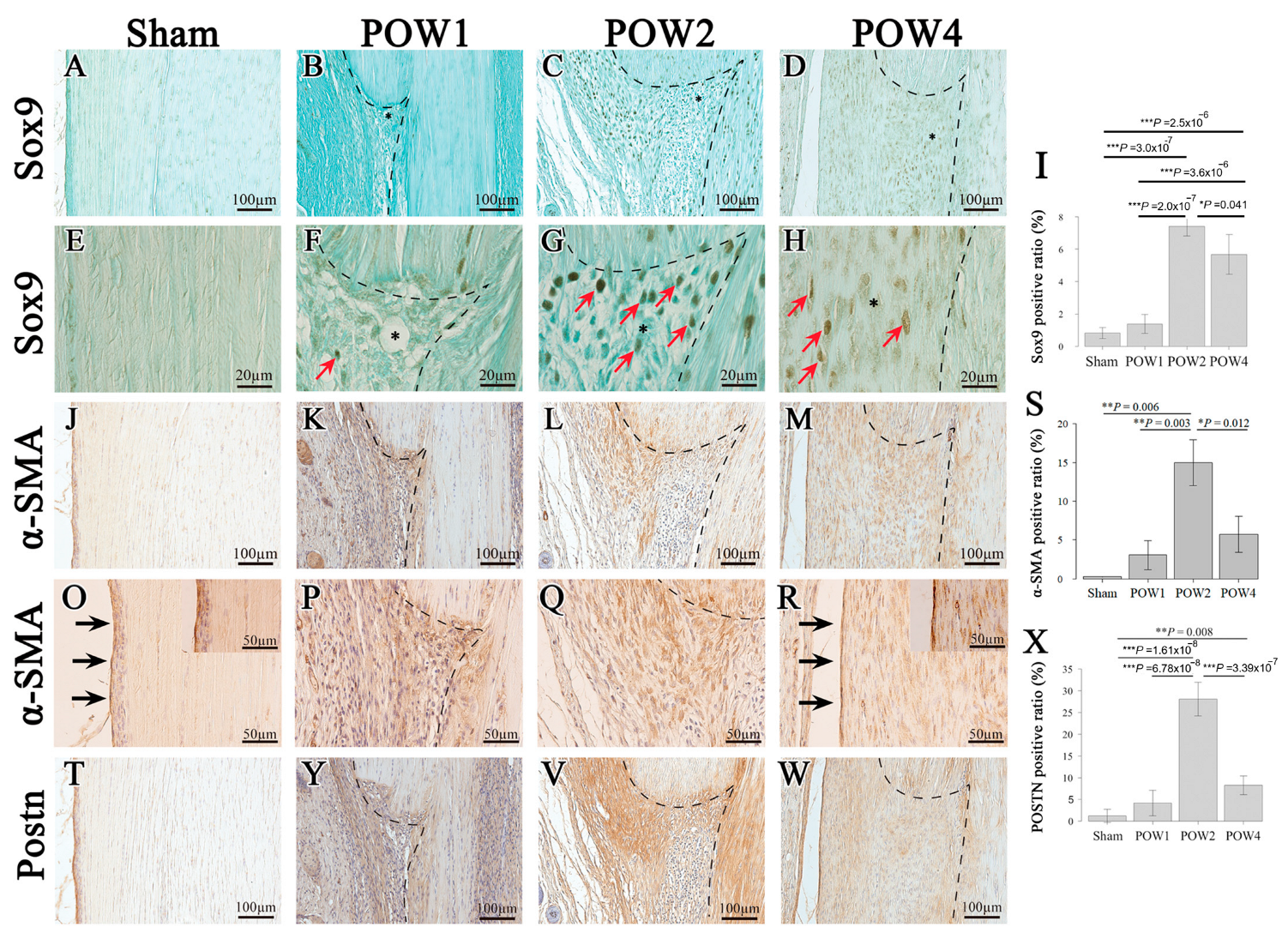 Ijms 24 11305 g004 Ijms 24 11305 g004