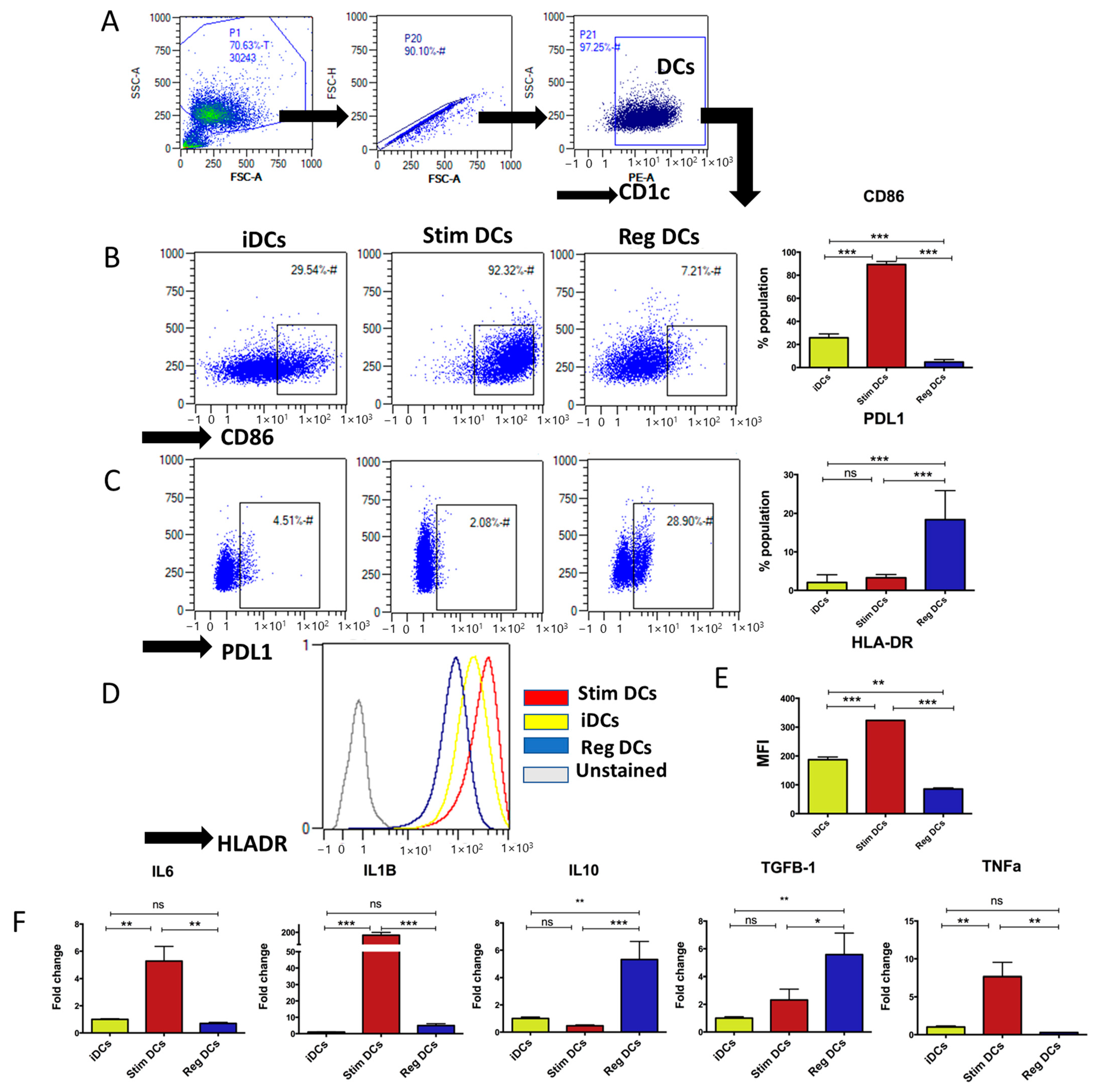 Ijms 24 11306 g001 Ijms 24 11306 g001