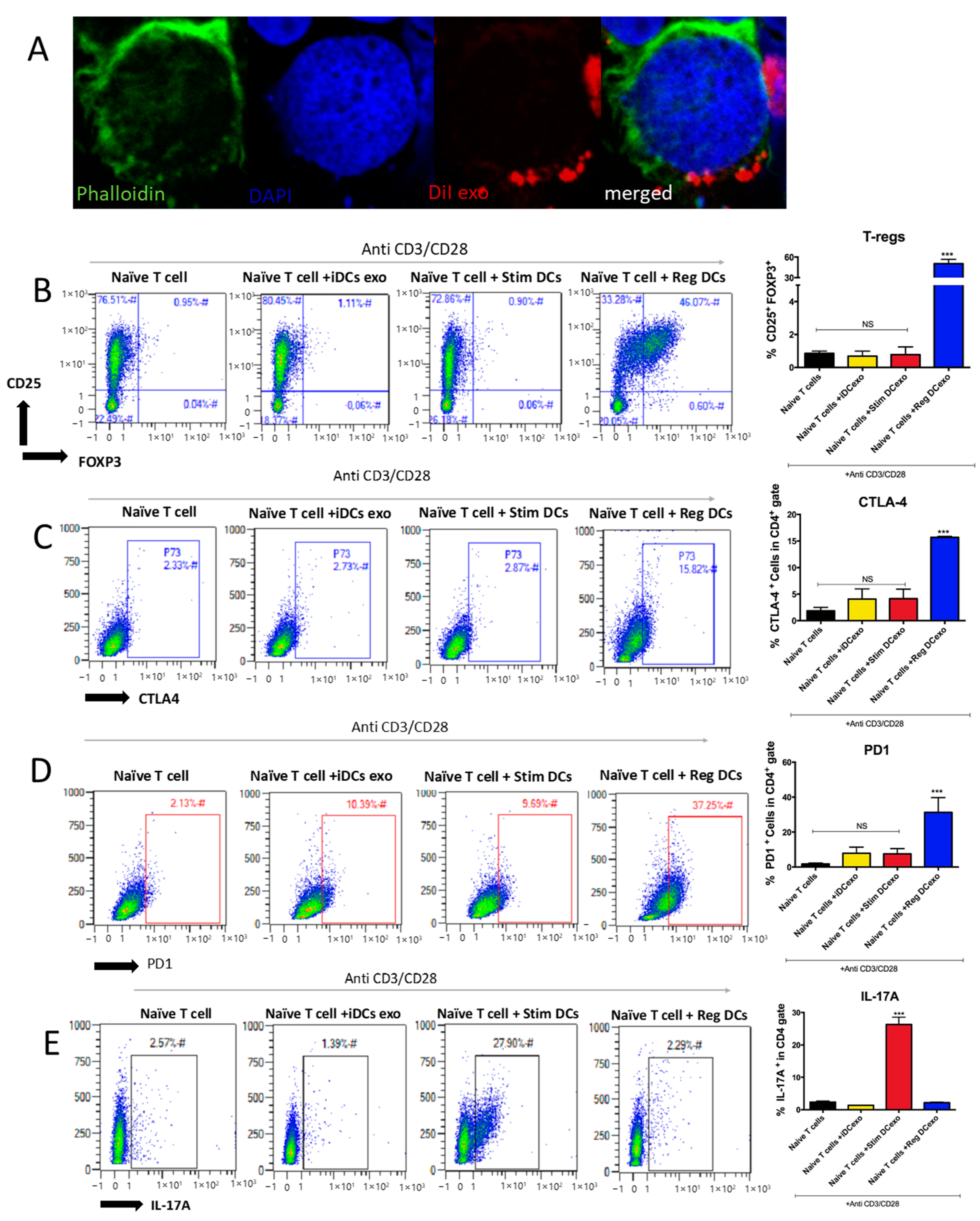 Ijms 24 11306 g005 Ijms 24 11306 g005