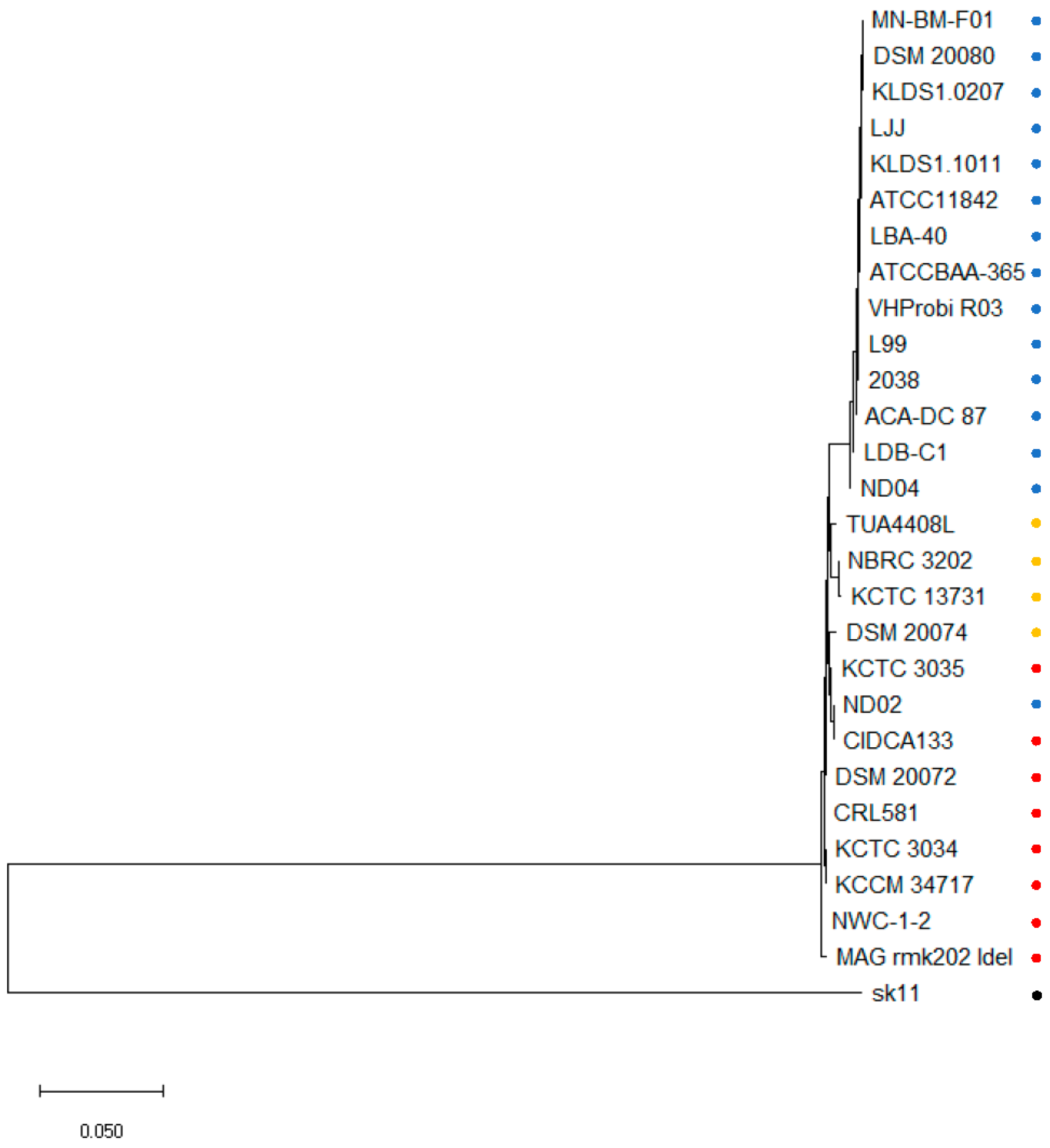 Ijms 24 11309 g001 Ijms 24 11309 g001