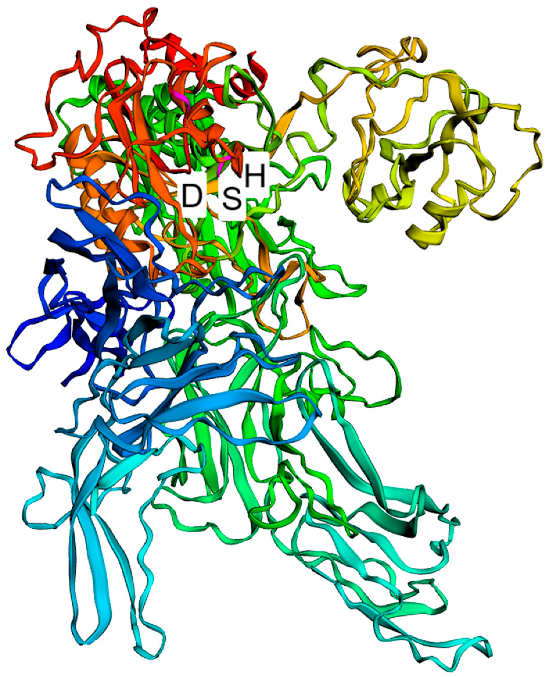 Ijms 24 11309 g002 Ijms 24 11309 g002