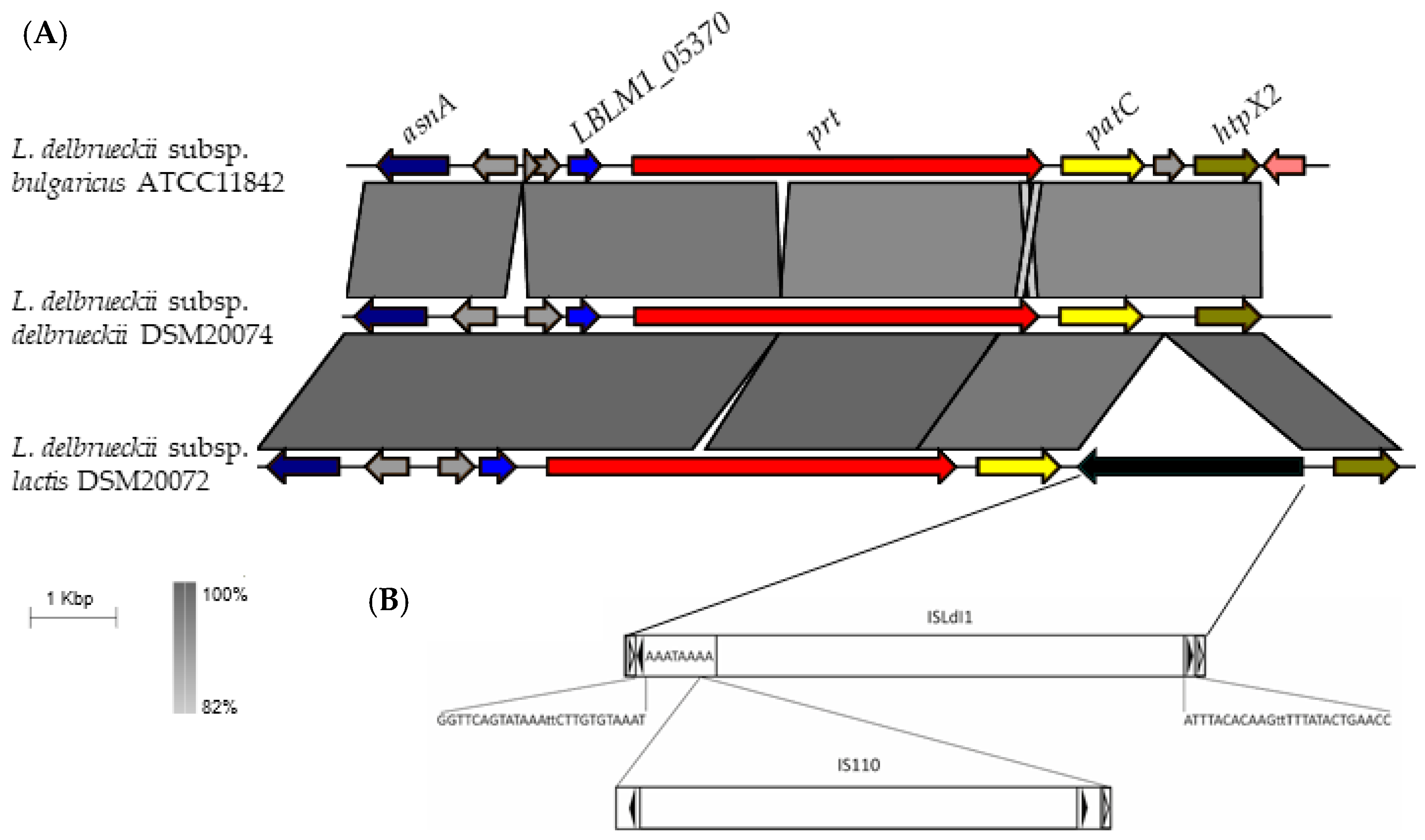 Ijms 24 11309 g004 Ijms 24 11309 g004