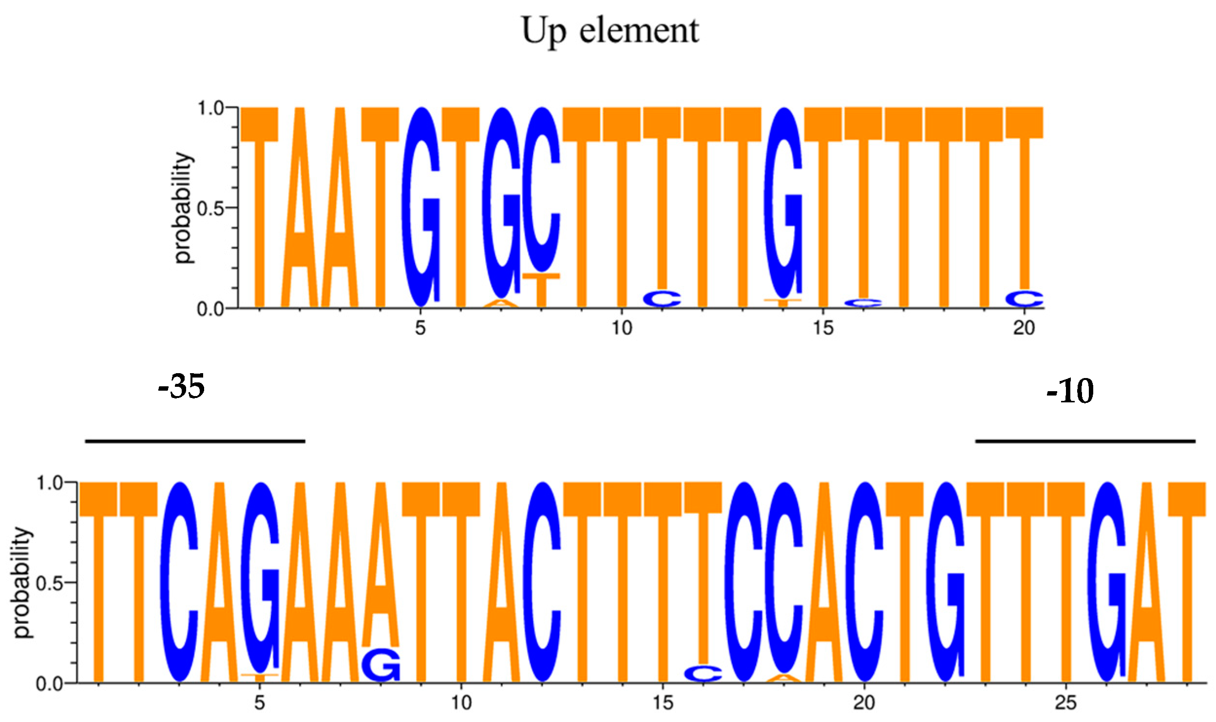 Ijms 24 11309 g006 Ijms 24 11309 g006