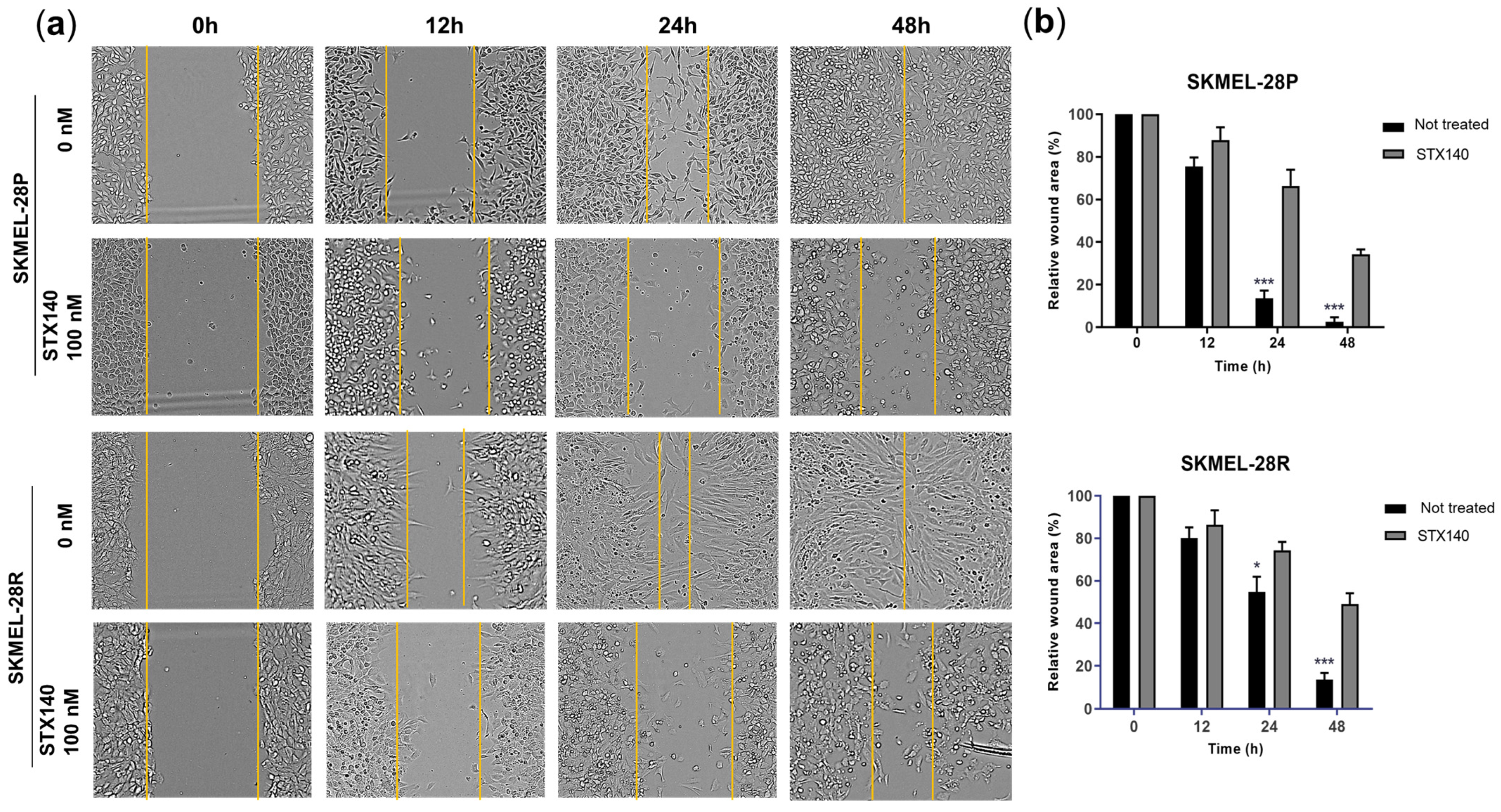 Ijms 24 11314 g003 Ijms 24 11314 g003