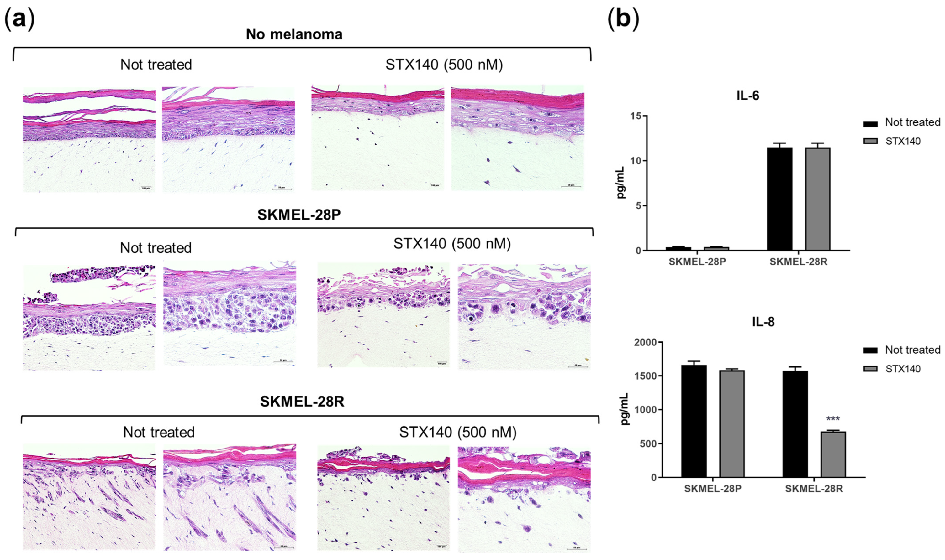 Ijms 24 11314 g004 Ijms 24 11314 g004