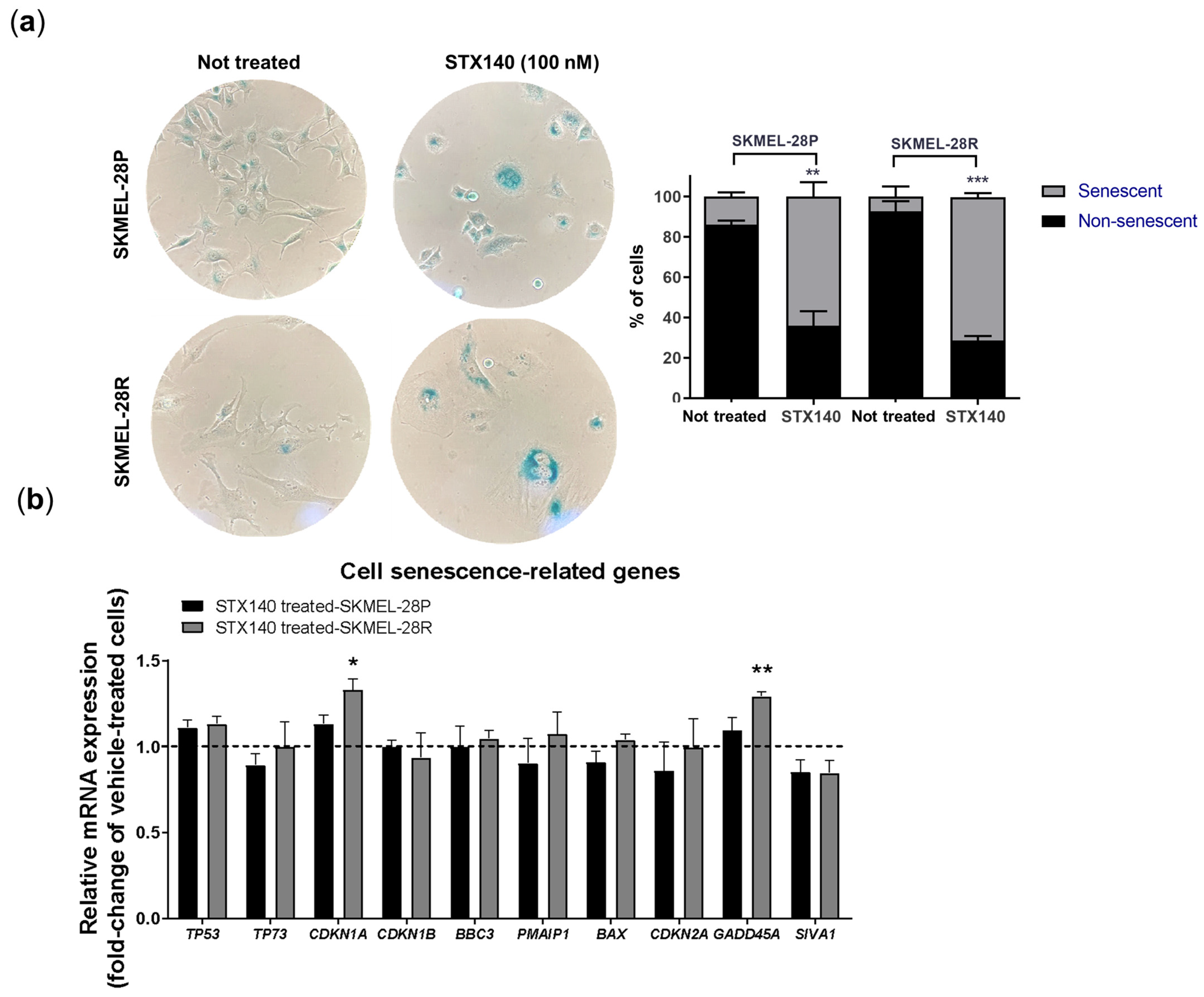 Ijms 24 11314 g007 Ijms 24 11314 g007