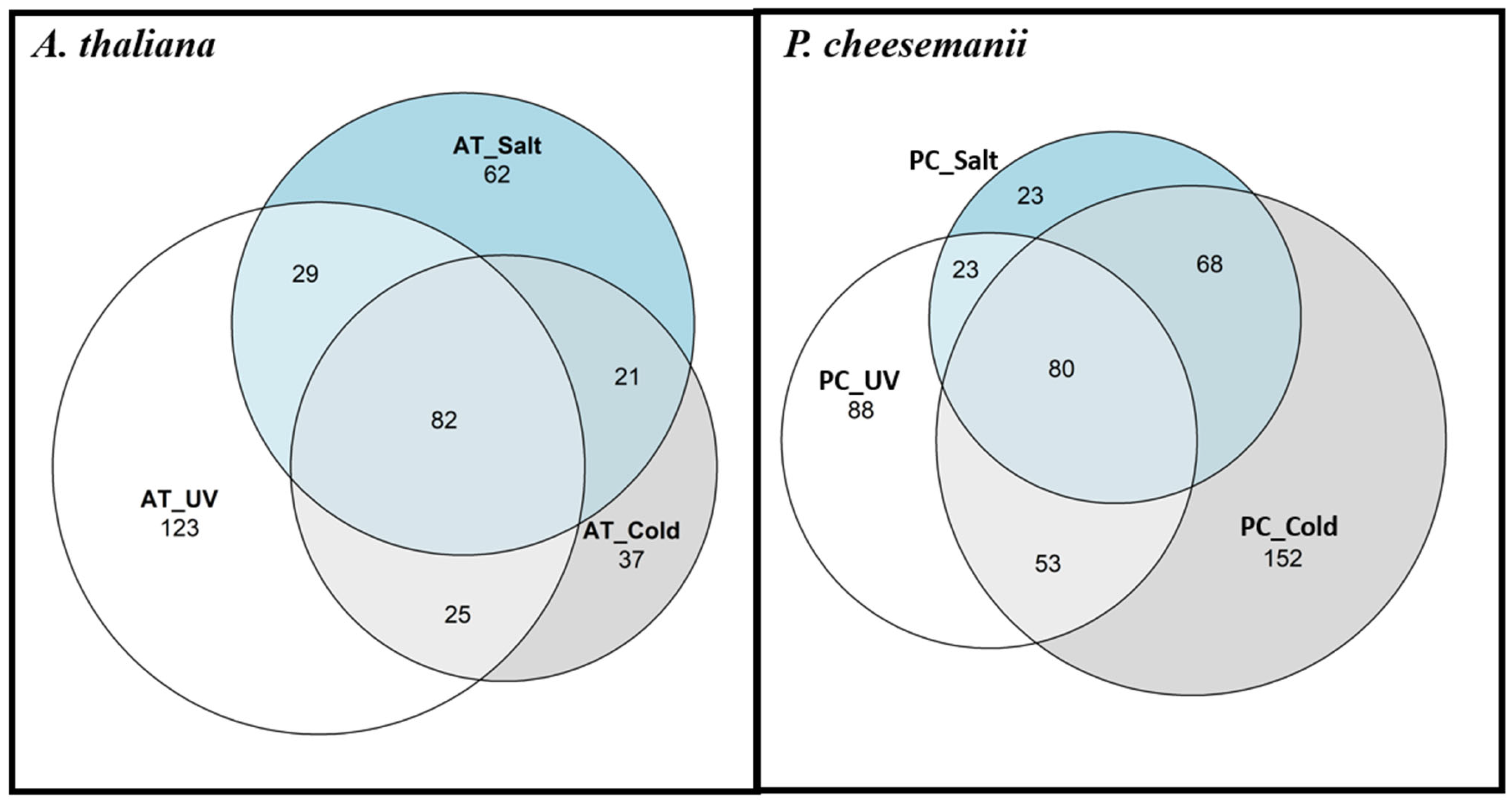 Ijms 24 11323 g003 Ijms 24 11323 g003