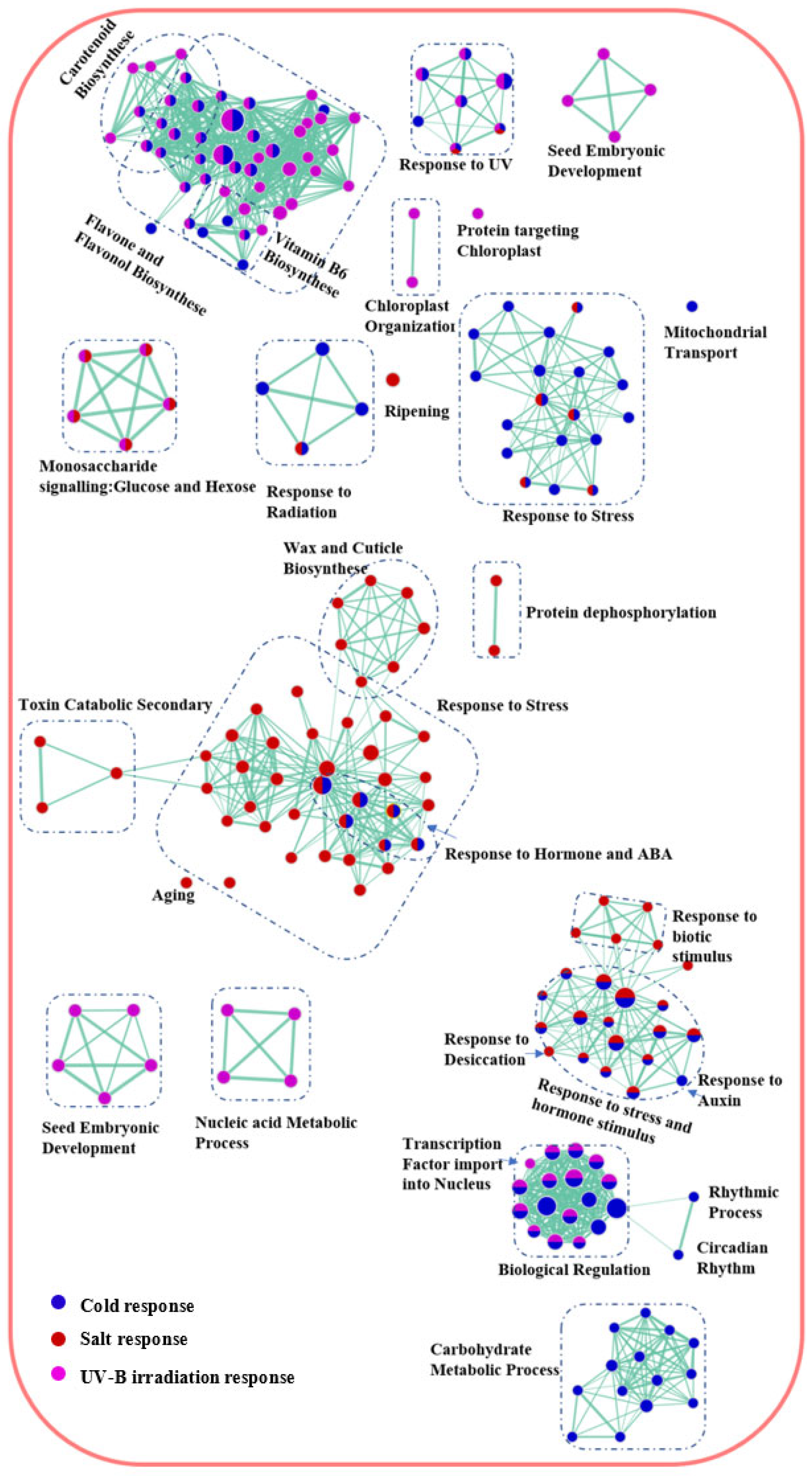 Ijms 24 11323 g004 Ijms 24 11323 g004