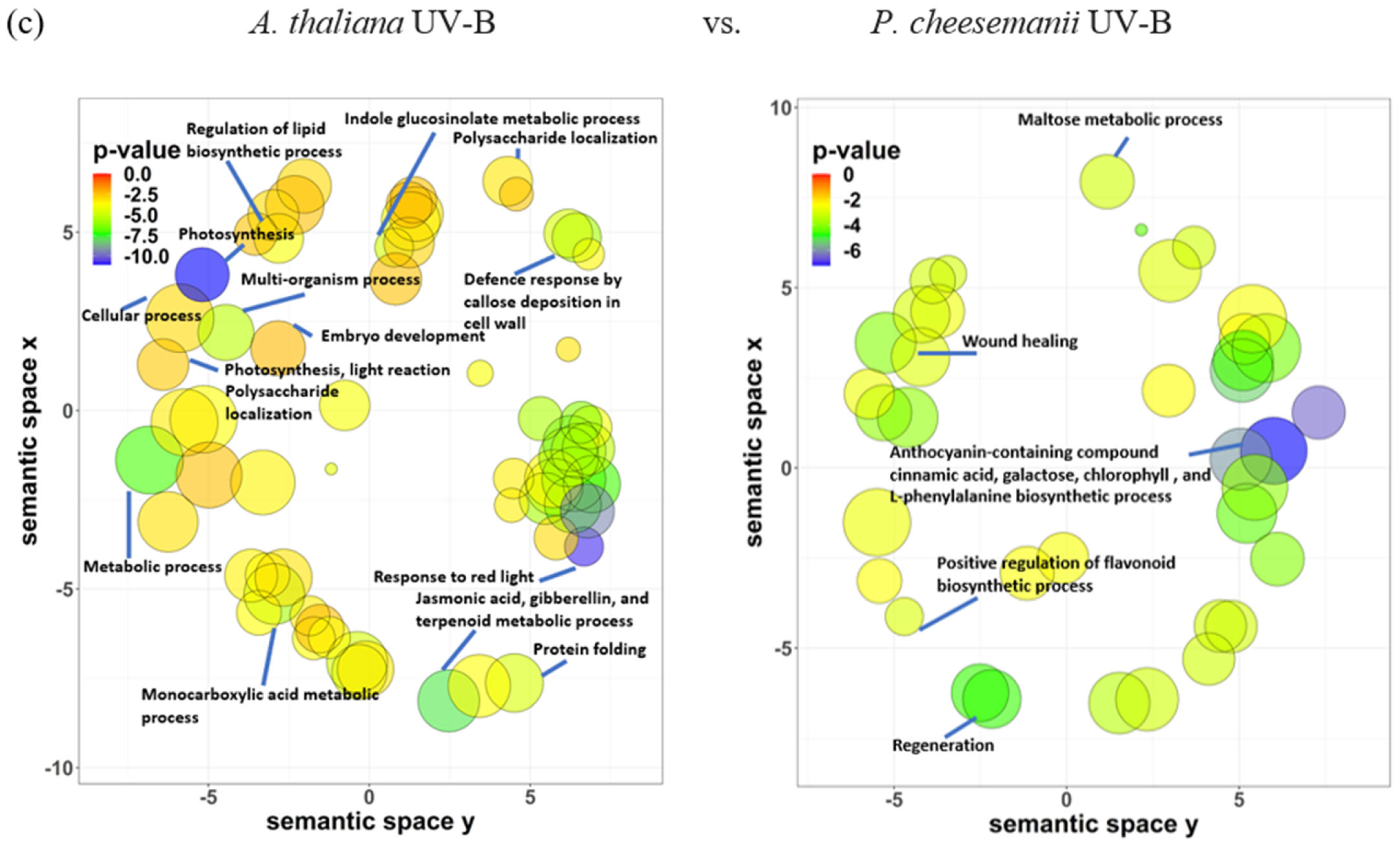 Ijms 24 11323 g008b Ijms 24 11323 g008b