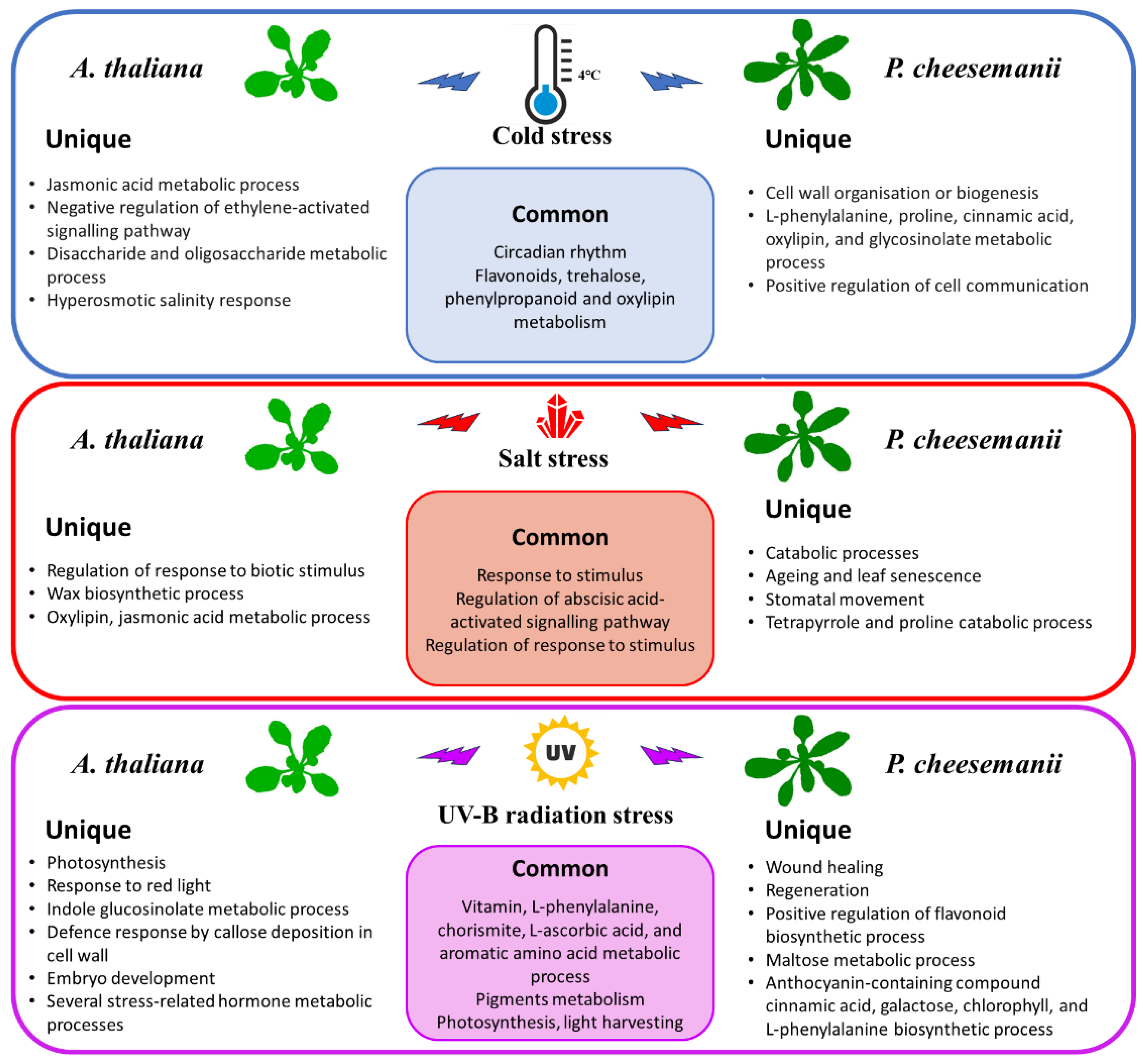 Ijms 24 11323 g009 Ijms 24 11323 g009