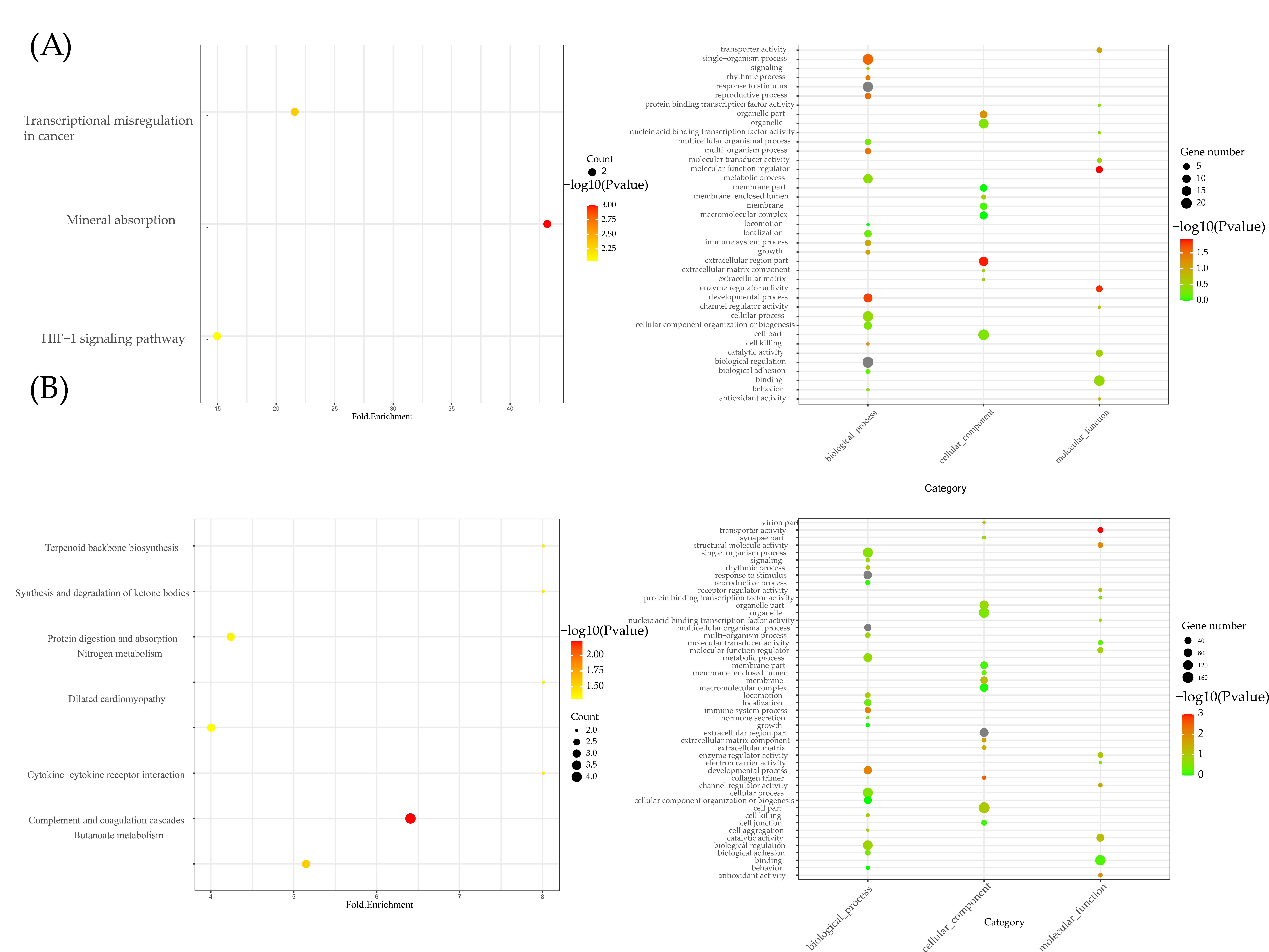 Ijms 24 11325 g003 Ijms 24 11325 g003