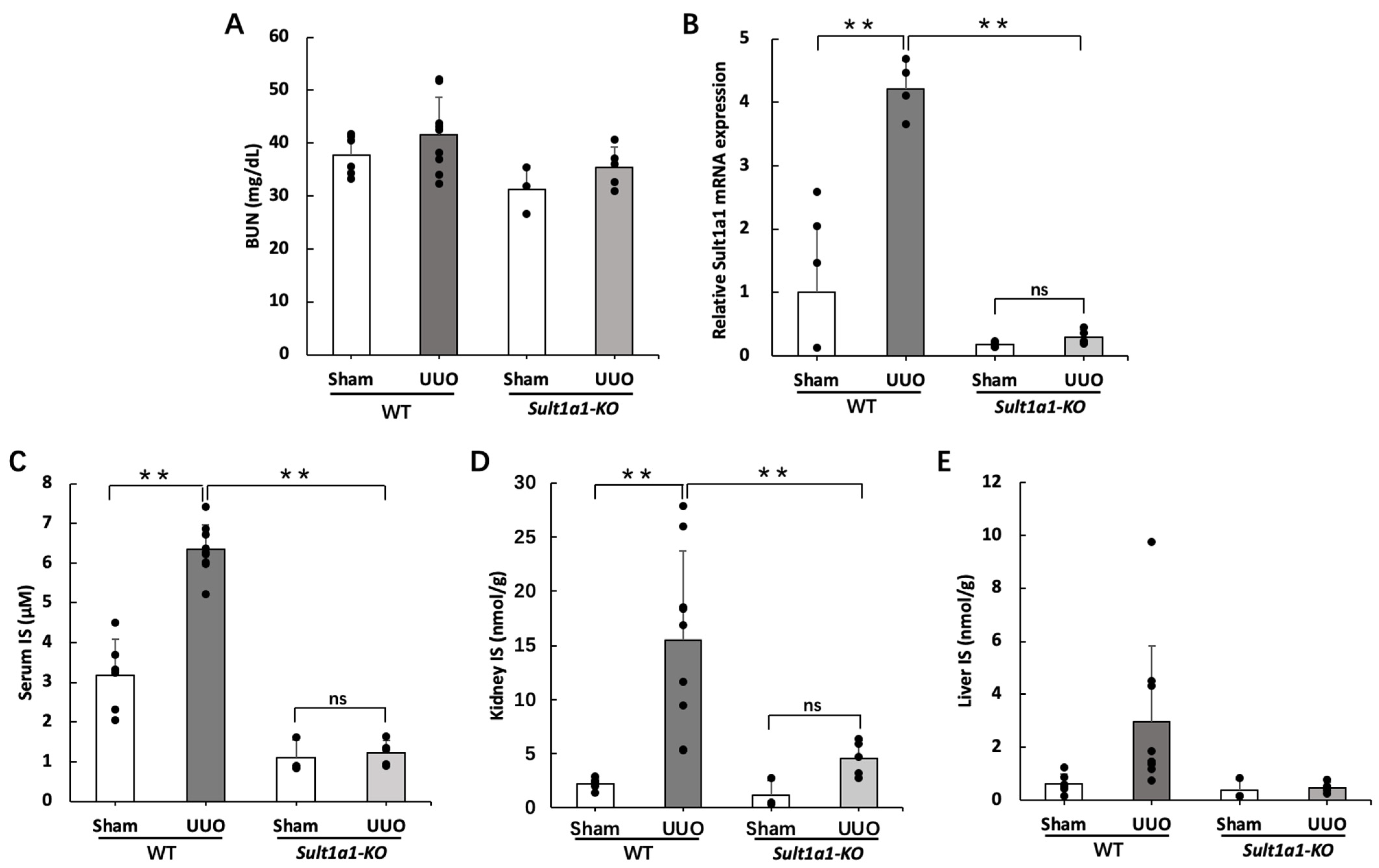 Ijms 24 11329 g001 Ijms 24 11329 g001