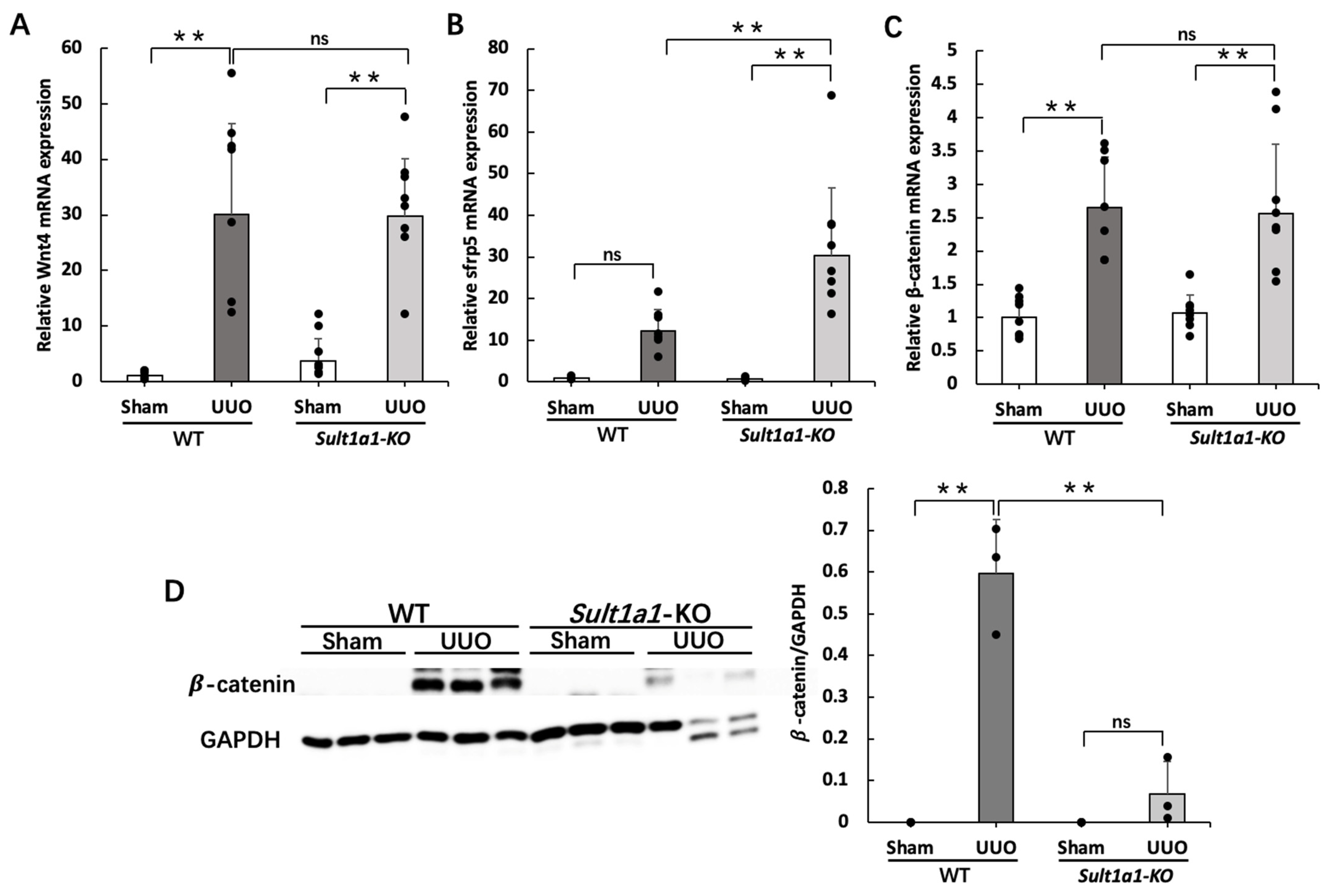 Ijms 24 11329 g005 Ijms 24 11329 g005