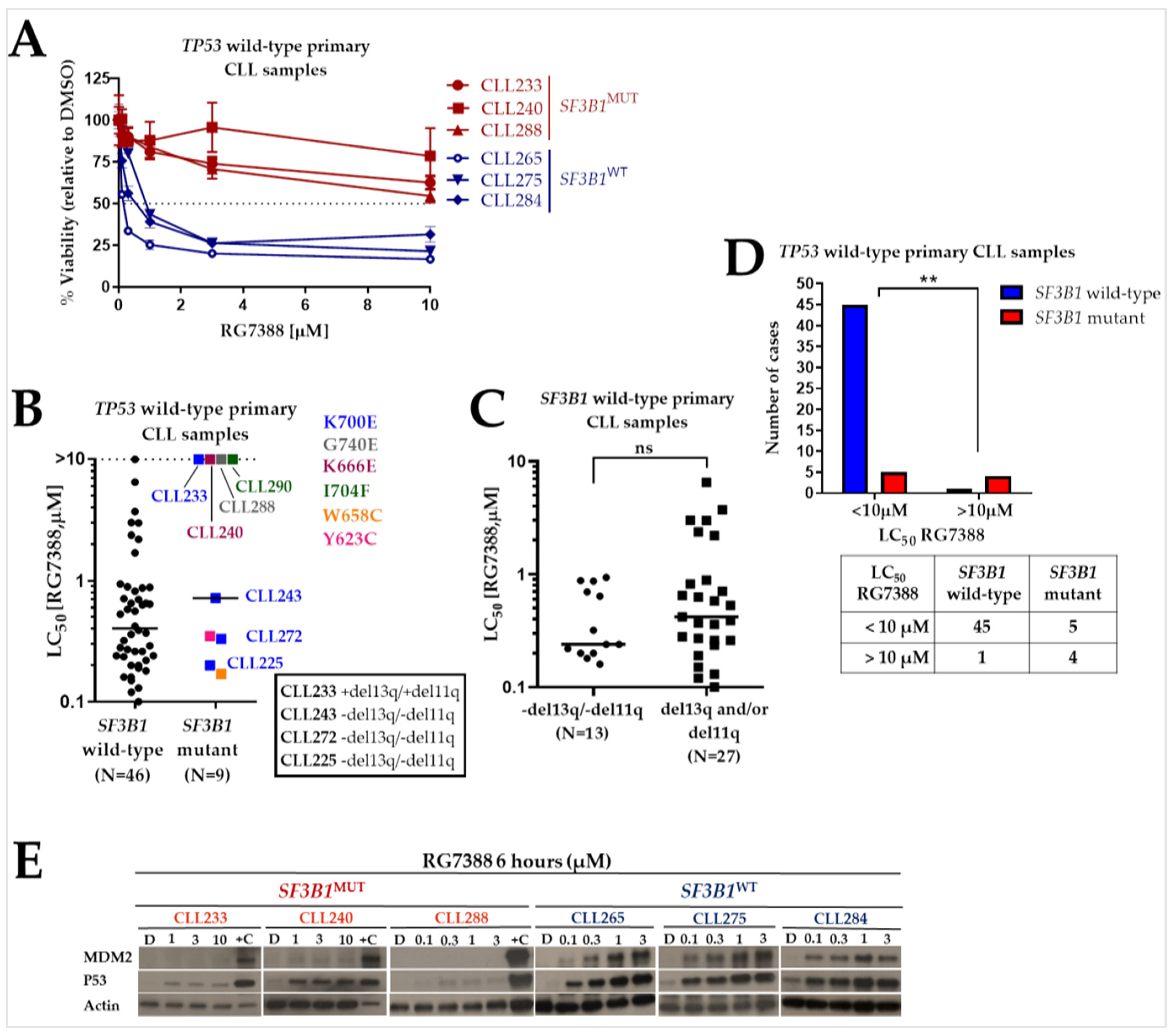 Ijms 24 11335 g004 Ijms 24 11335 g004