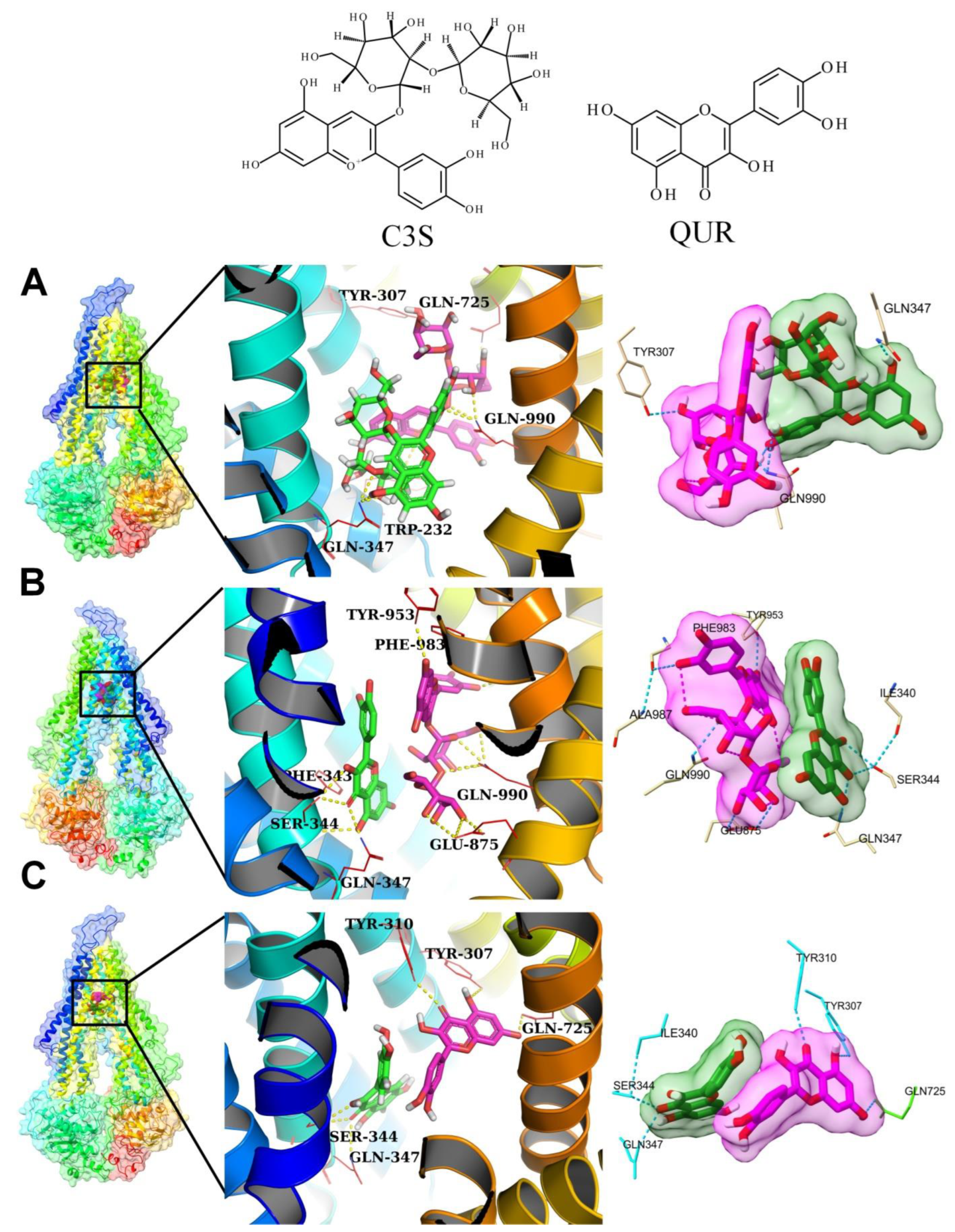 Ijms 24 11341 g004 Ijms 24 11341 g004