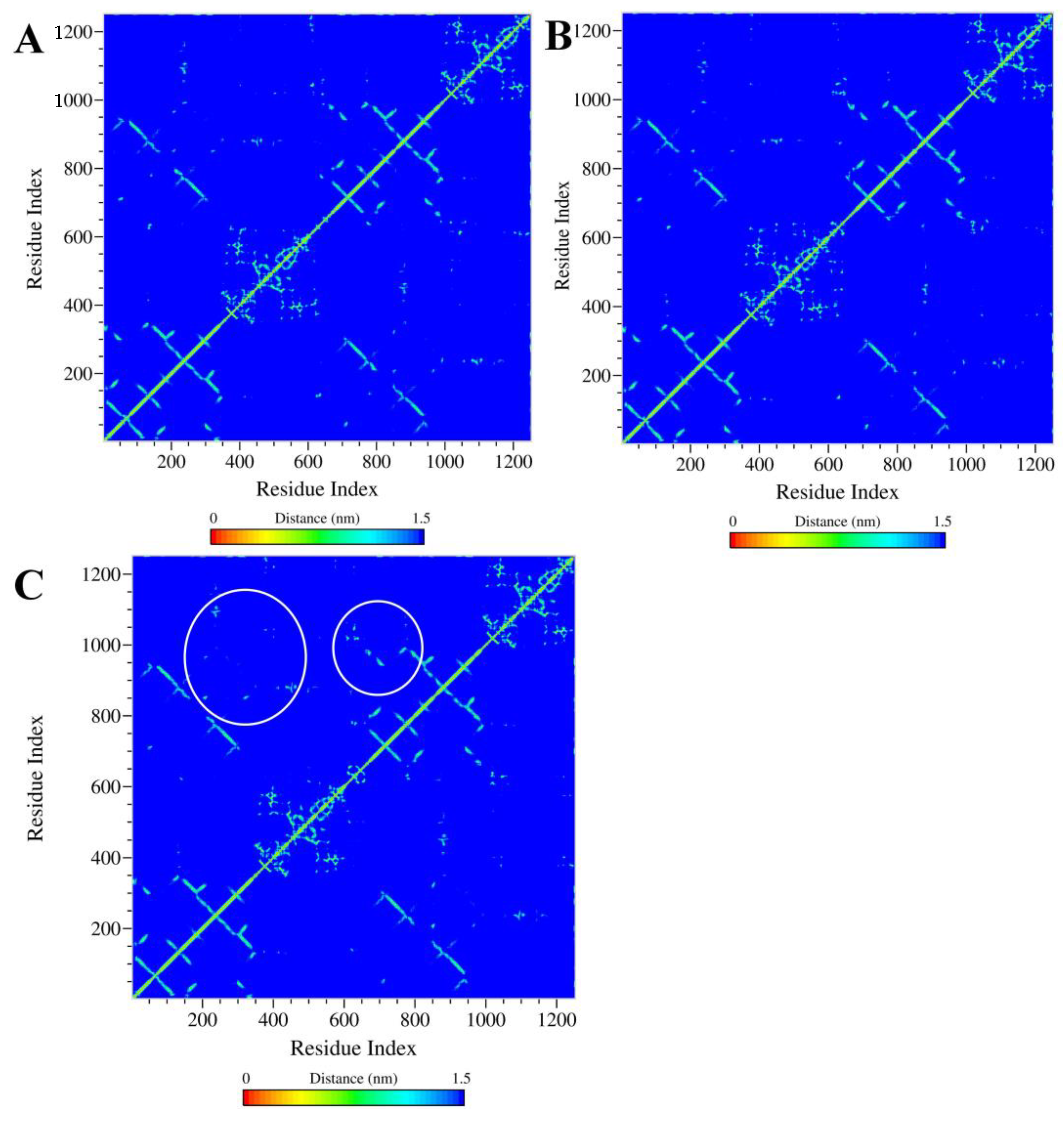 Ijms 24 11341 g006 Ijms 24 11341 g006