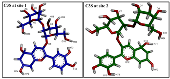 Ijms 24 11341 i001 Ijms 24 11341 i001