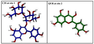 Ijms 24 11341 i002 Ijms 24 11341 i002
