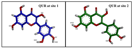 Ijms 24 11341 i003 Ijms 24 11341 i003