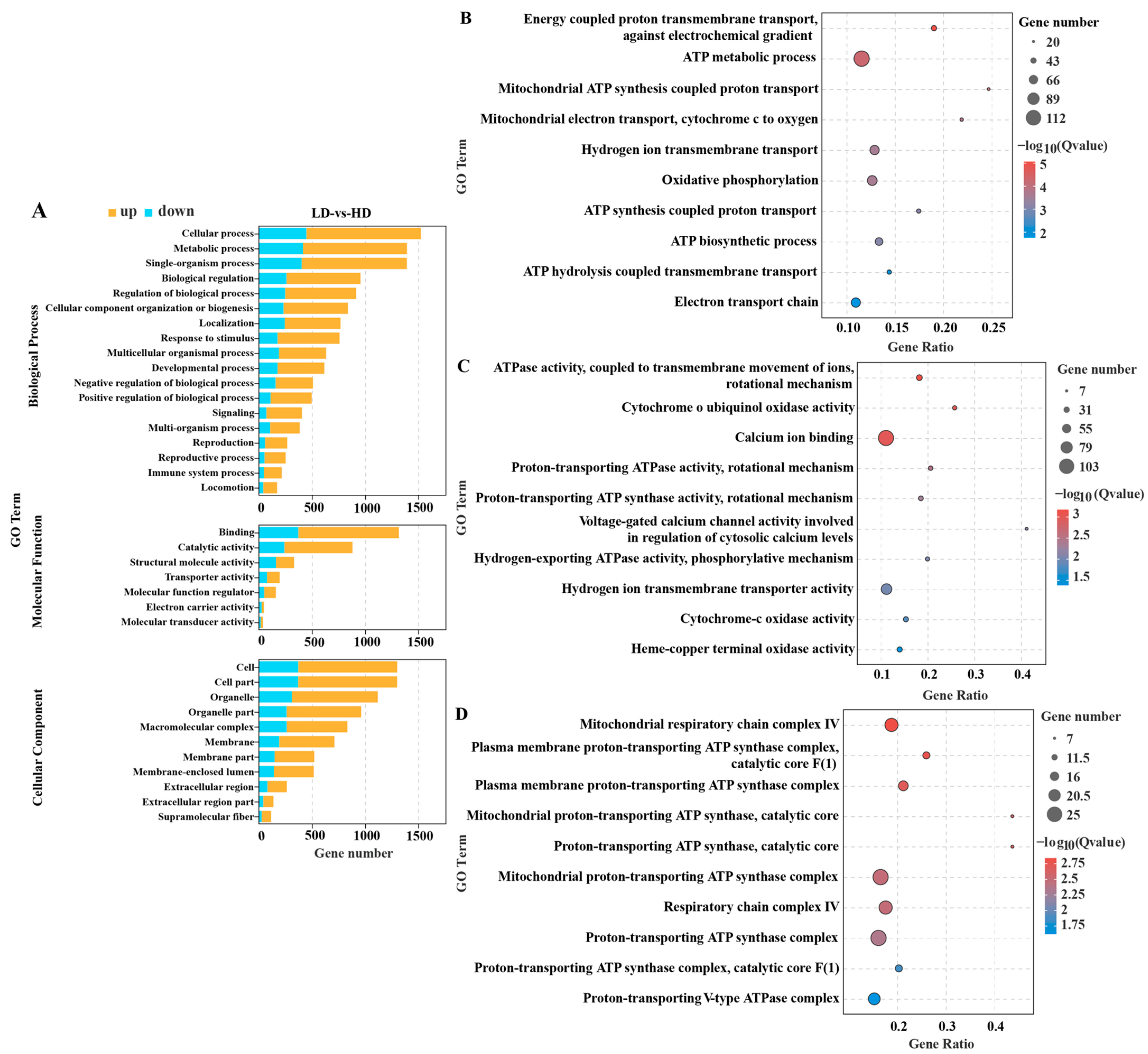 Ijms 24 11345 g003 Ijms 24 11345 g003