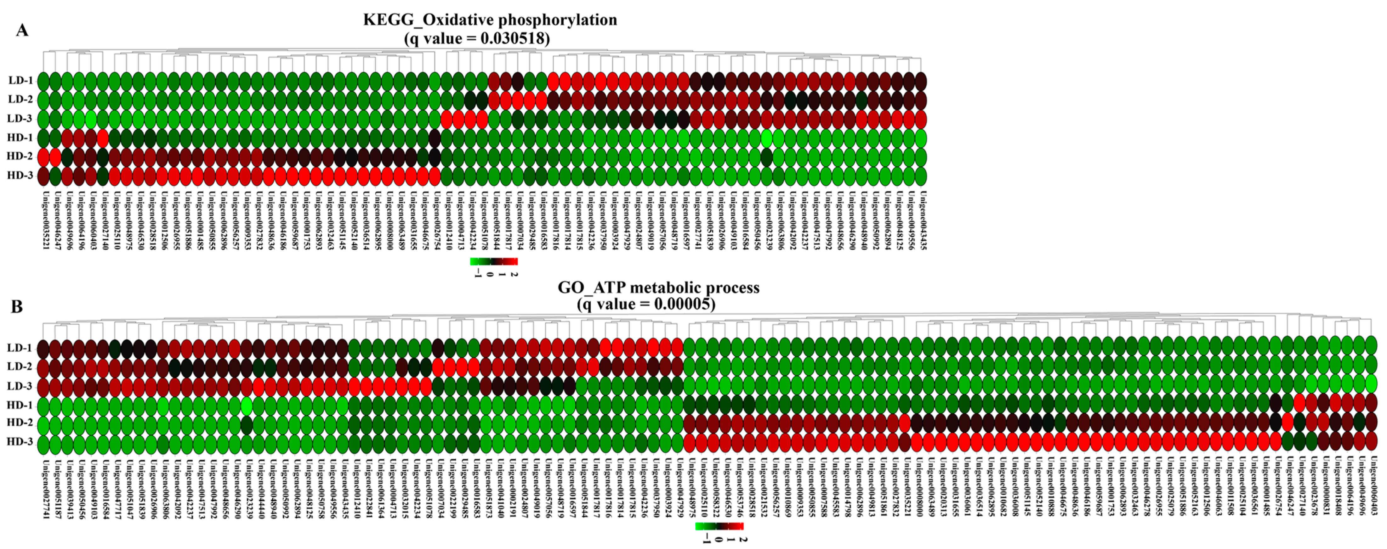 Ijms 24 11345 g005 Ijms 24 11345 g005