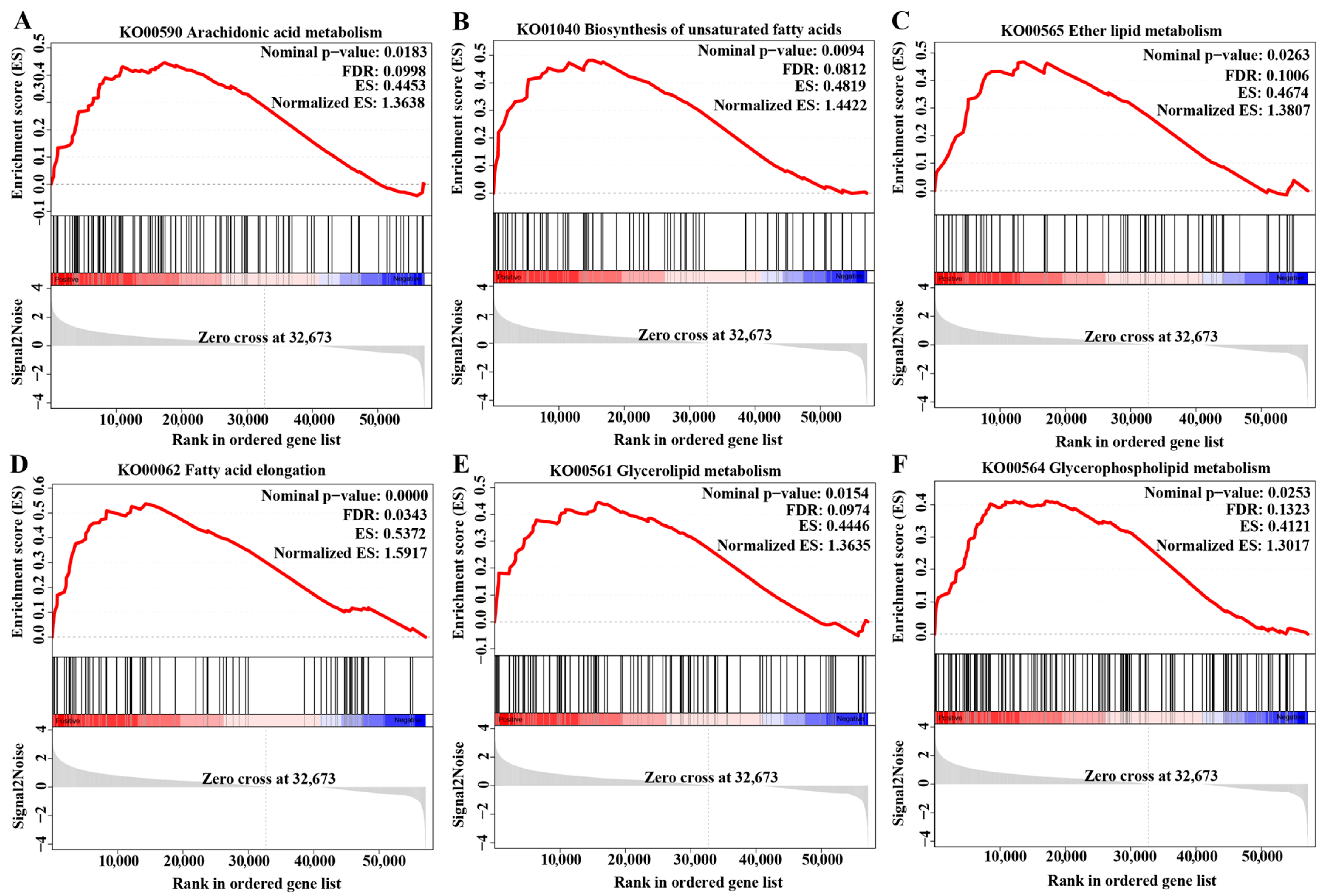 Ijms 24 11345 g006 Ijms 24 11345 g006