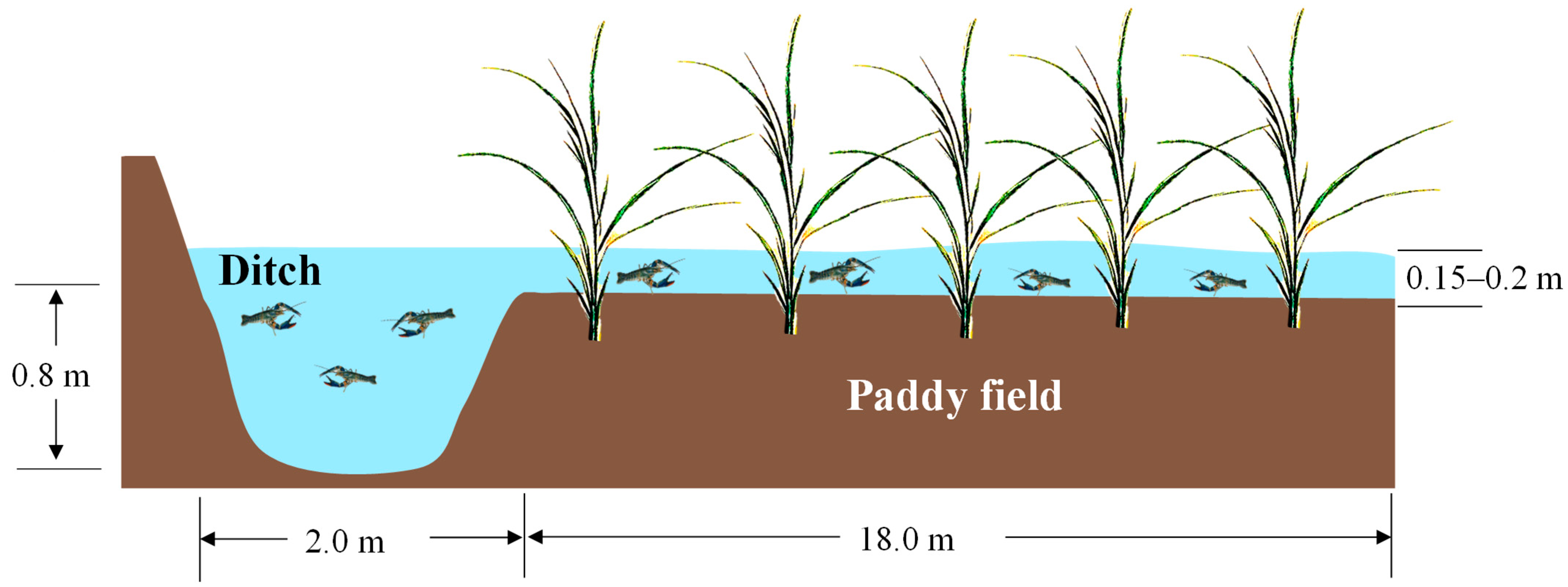 Ijms 24 11345 g008 Ijms 24 11345 g008