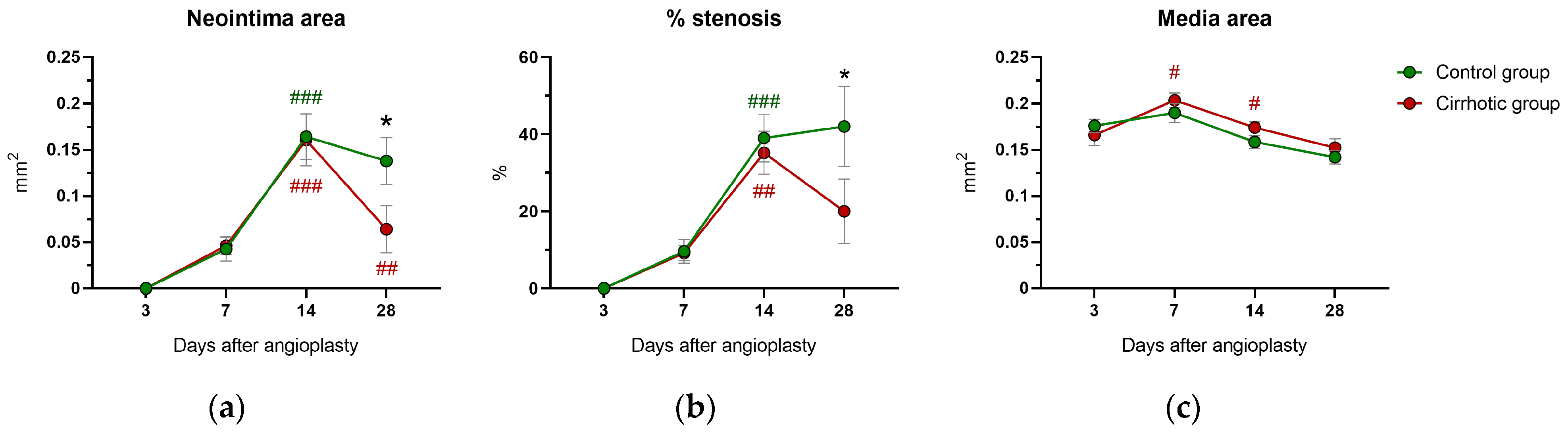 Ijms 24 11351 g002 Ijms 24 11351 g002