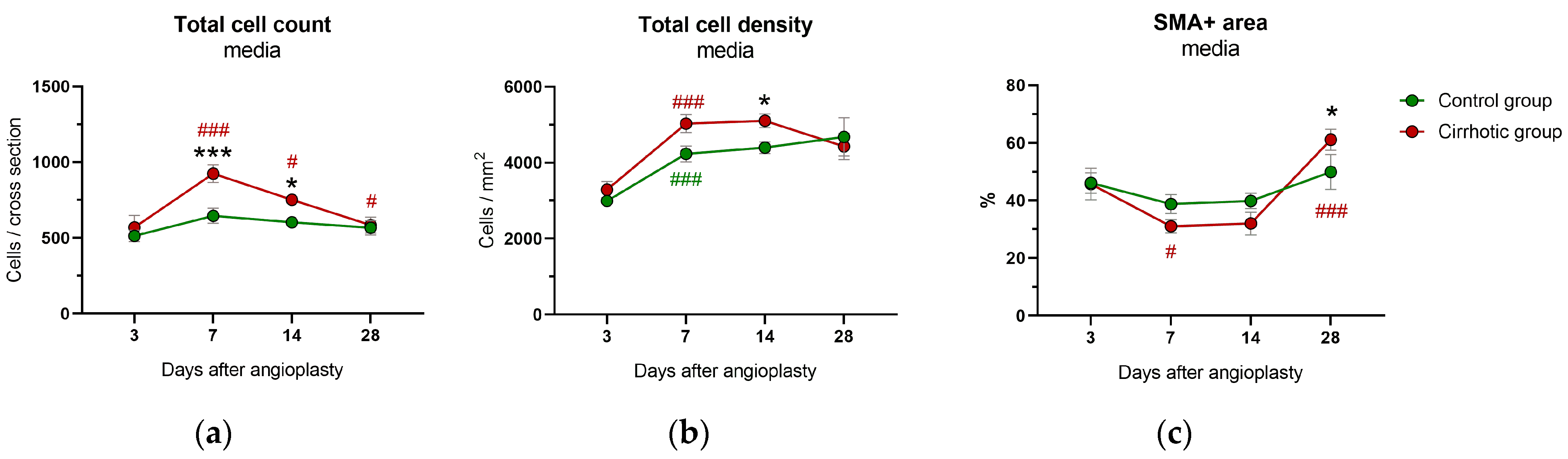 Ijms 24 11351 g004 Ijms 24 11351 g004