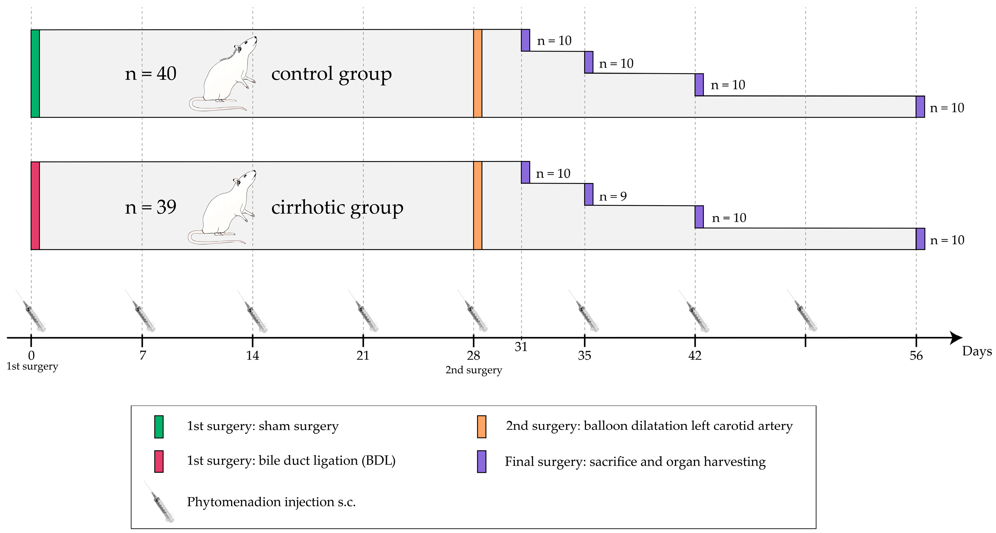 Ijms 24 11351 g006 Ijms 24 11351 g006