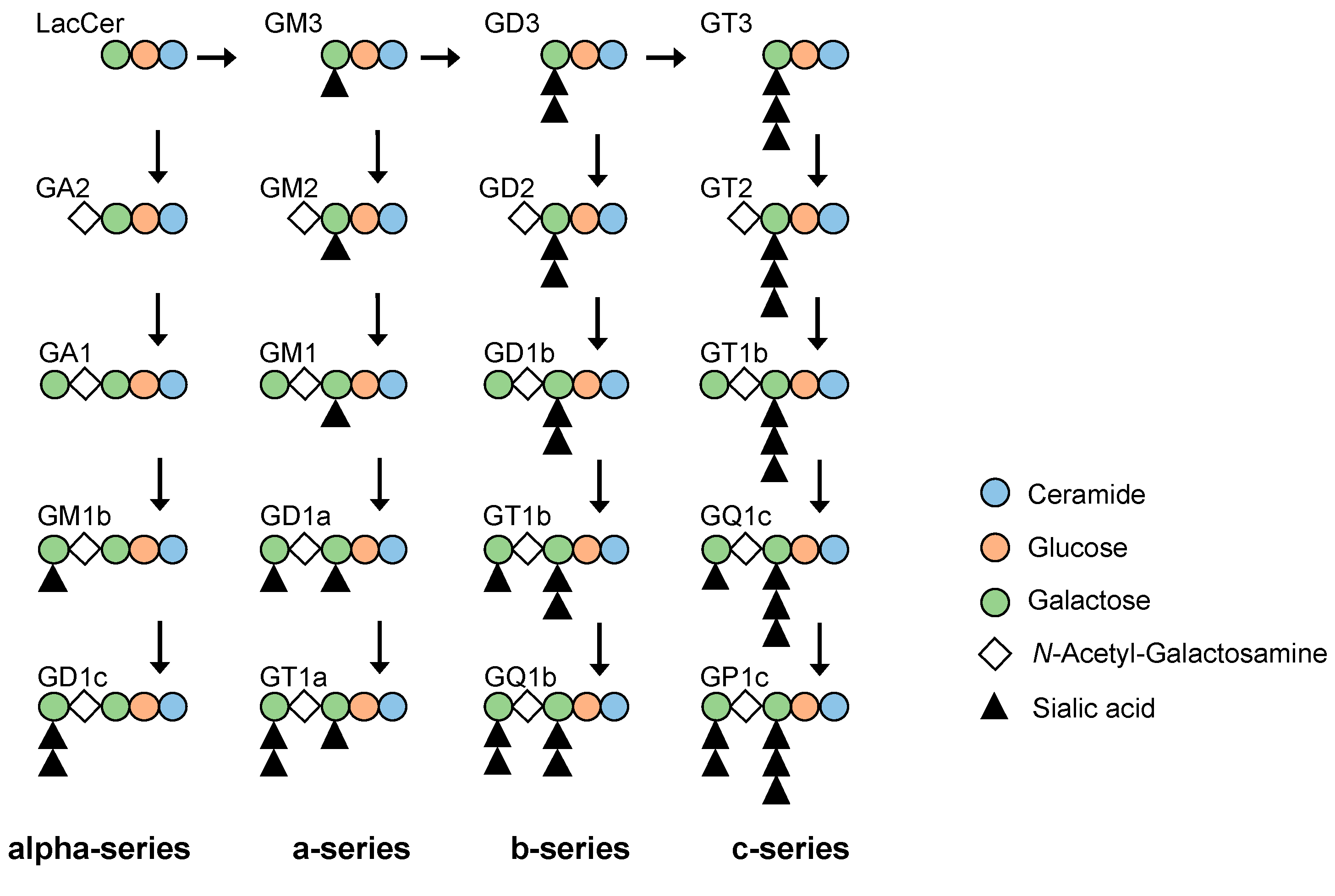 Ijms 24 11355 g001 Ijms 24 11355 g001