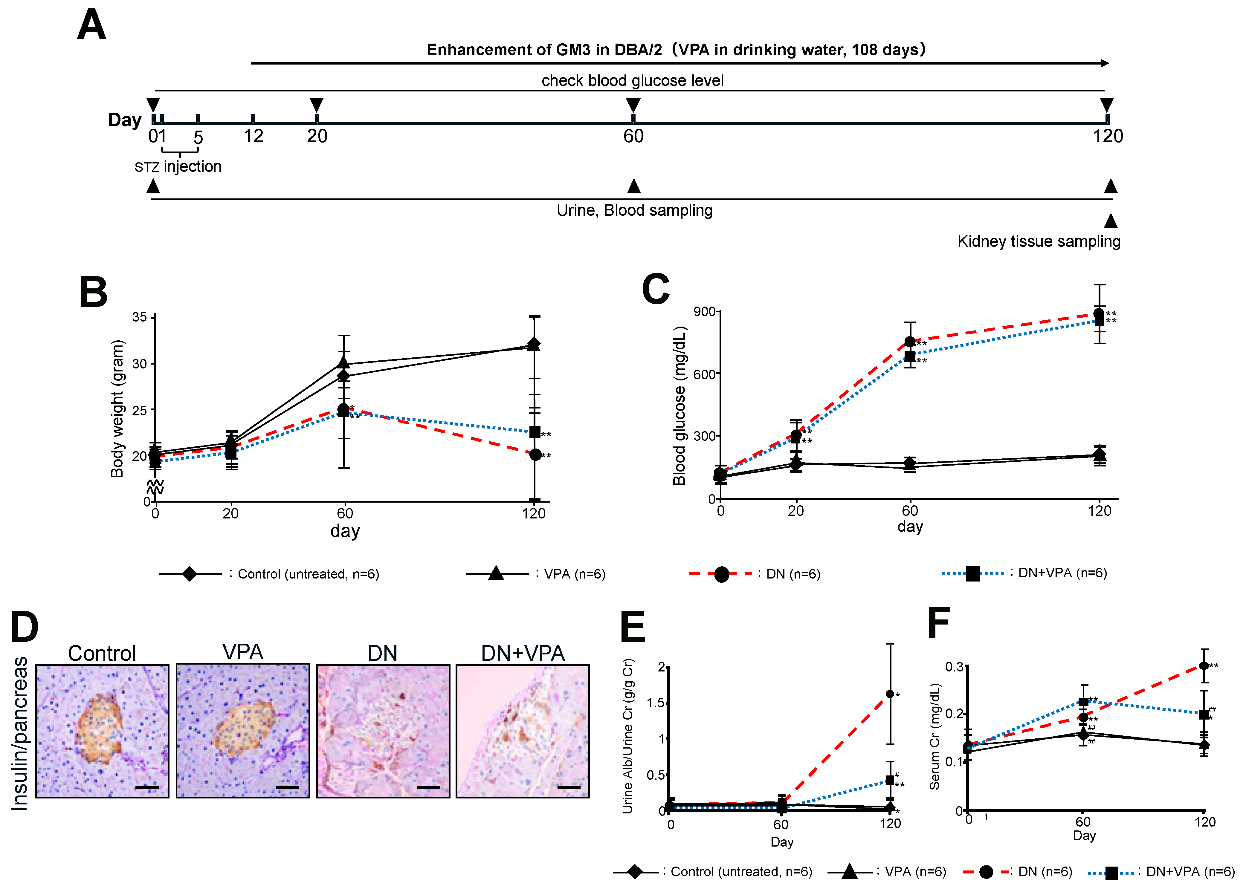 Ijms 24 11355 g002 Ijms 24 11355 g002