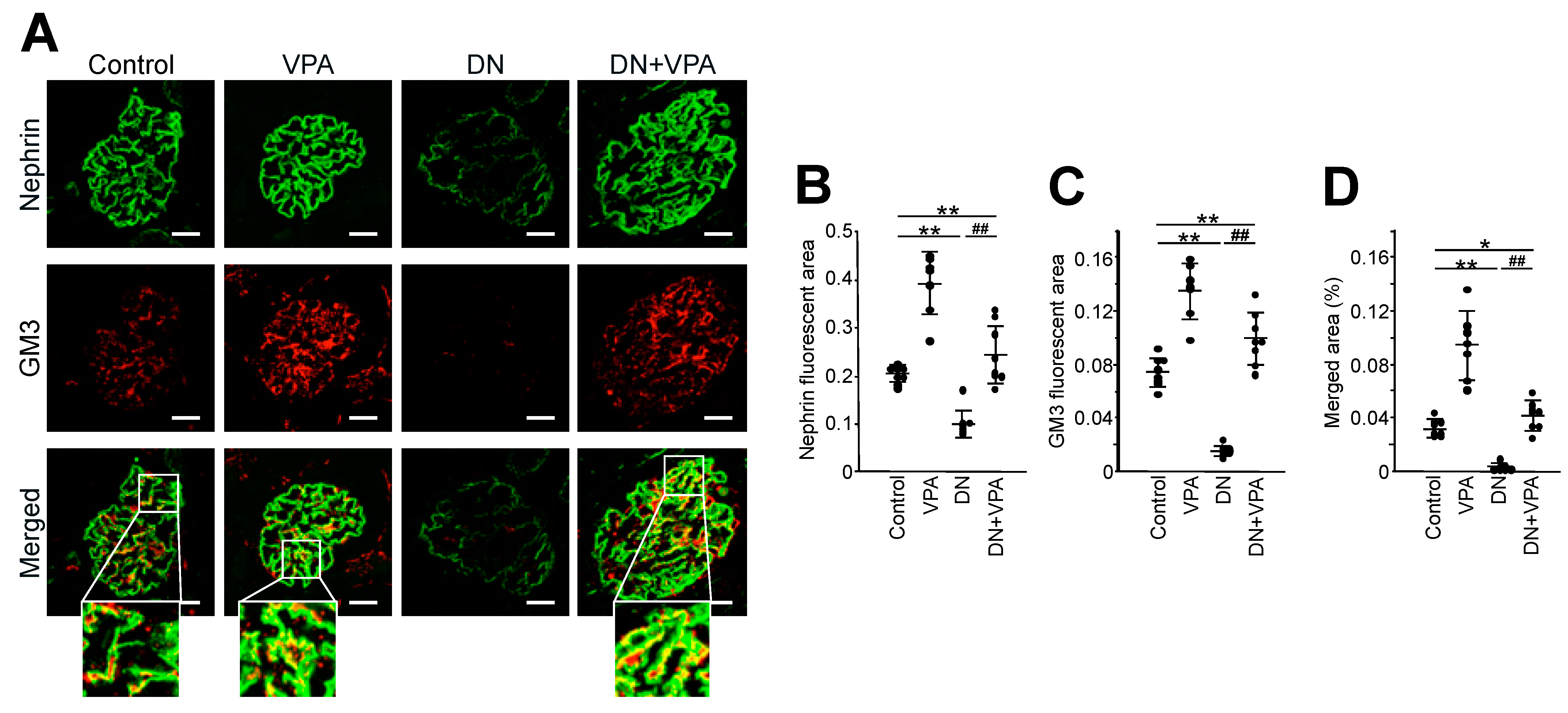 Ijms 24 11355 g006 Ijms 24 11355 g006