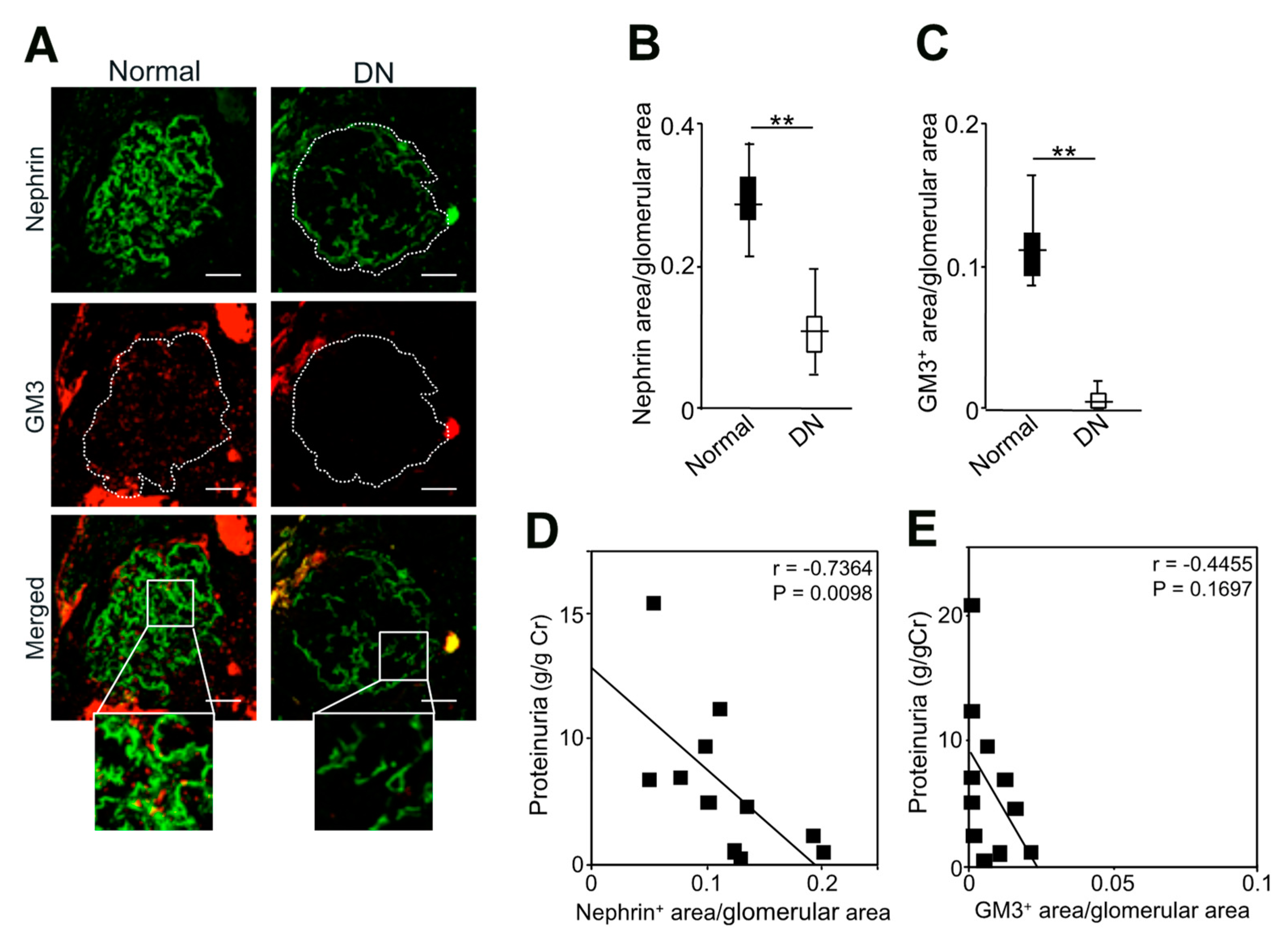 Ijms 24 11355 g007 Ijms 24 11355 g007