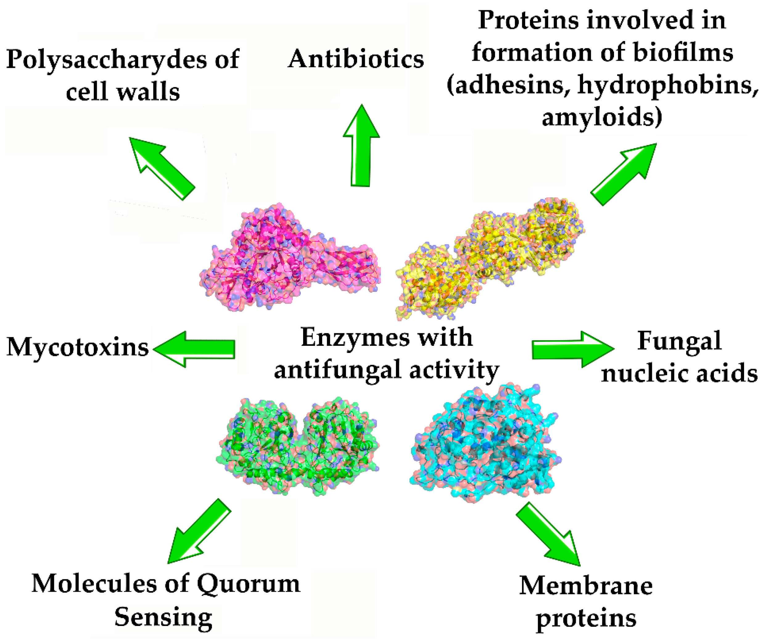 Ijms 24 11359 g002 Ijms 24 11359 g002
