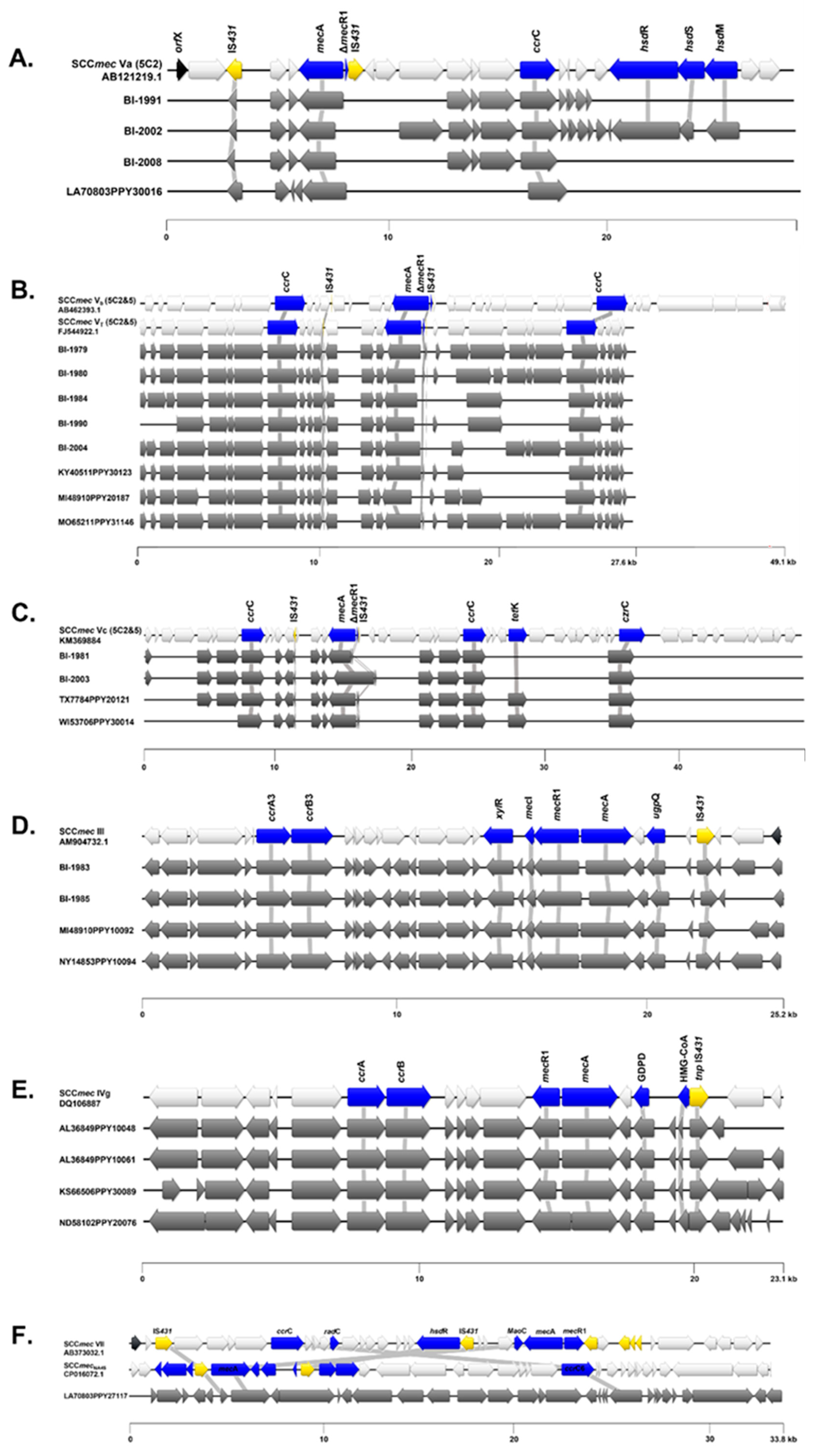 Ijms 24 11361 g005 Ijms 24 11361 g005