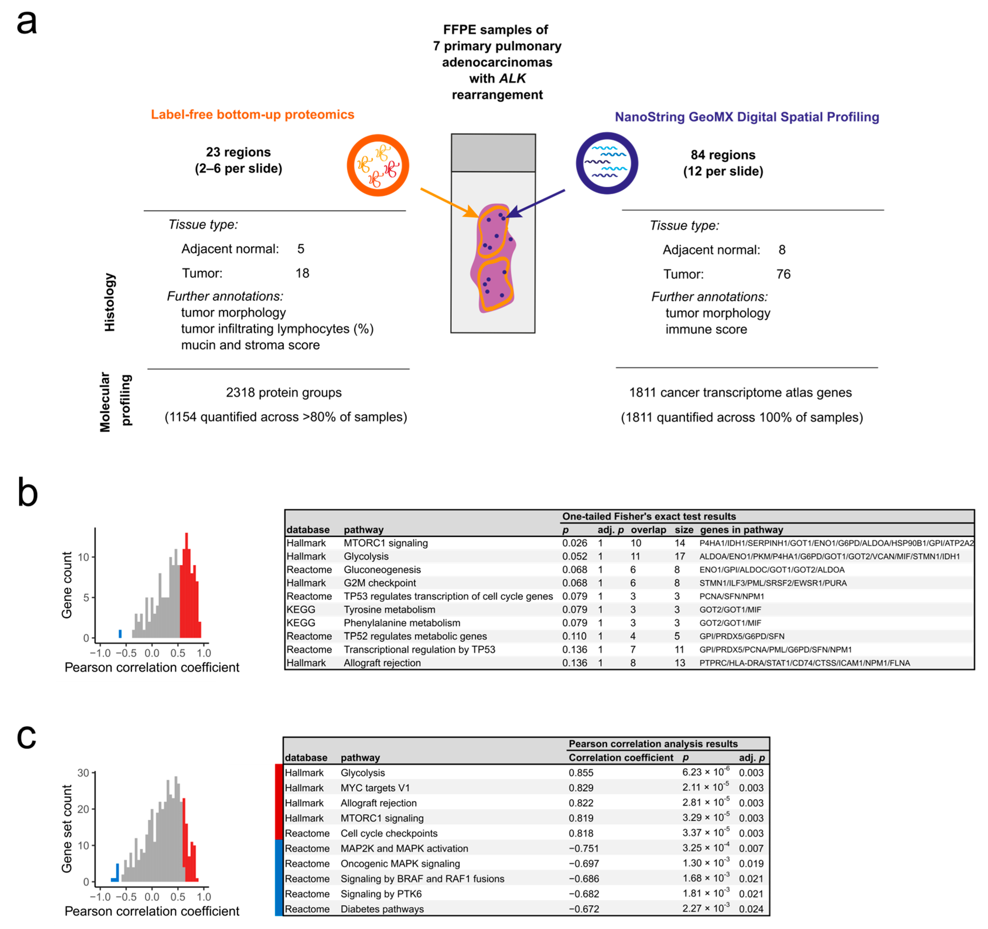 Ijms 24 11369 g001 Ijms 24 11369 g001