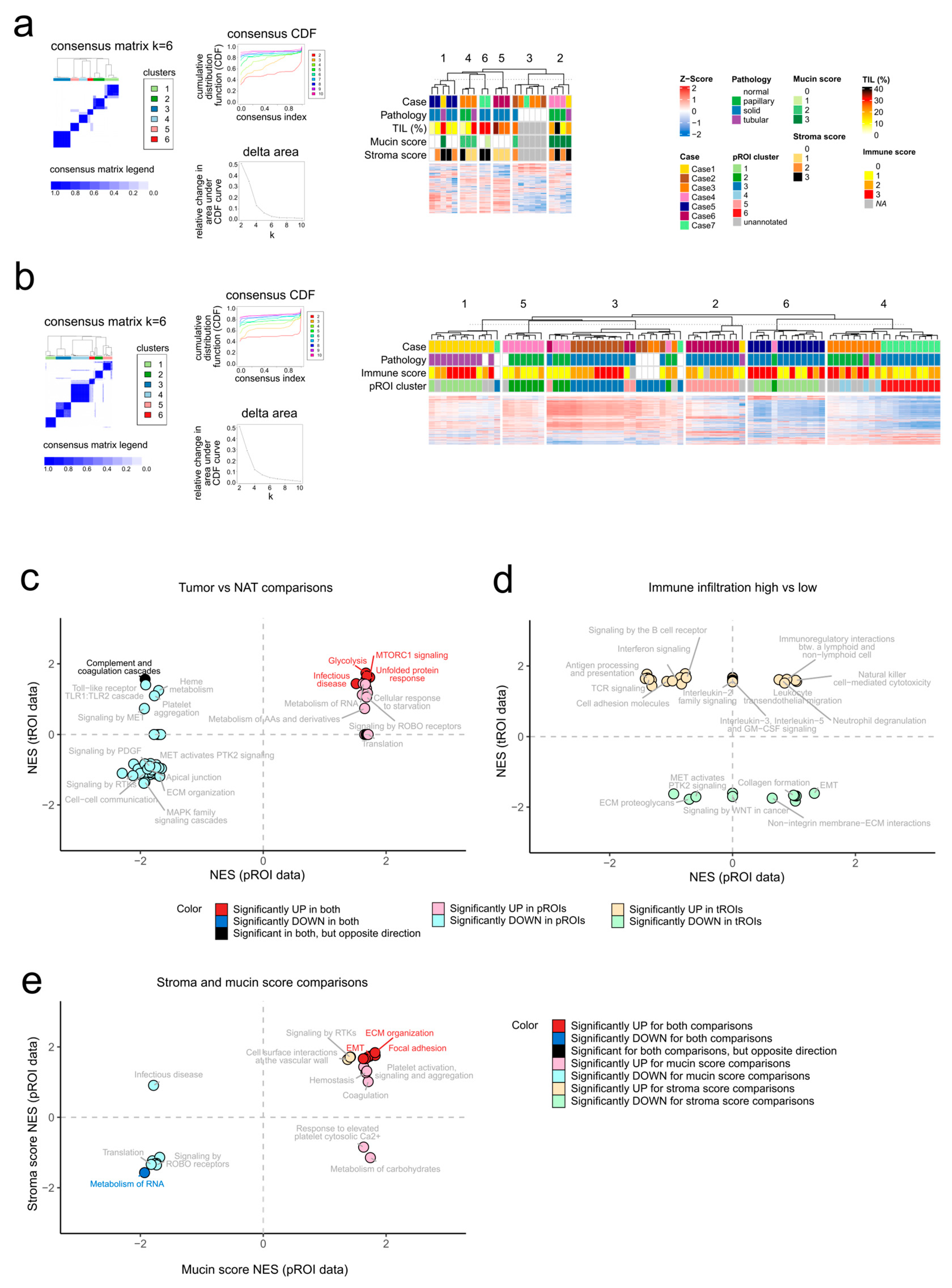 Ijms 24 11369 g002 Ijms 24 11369 g002
