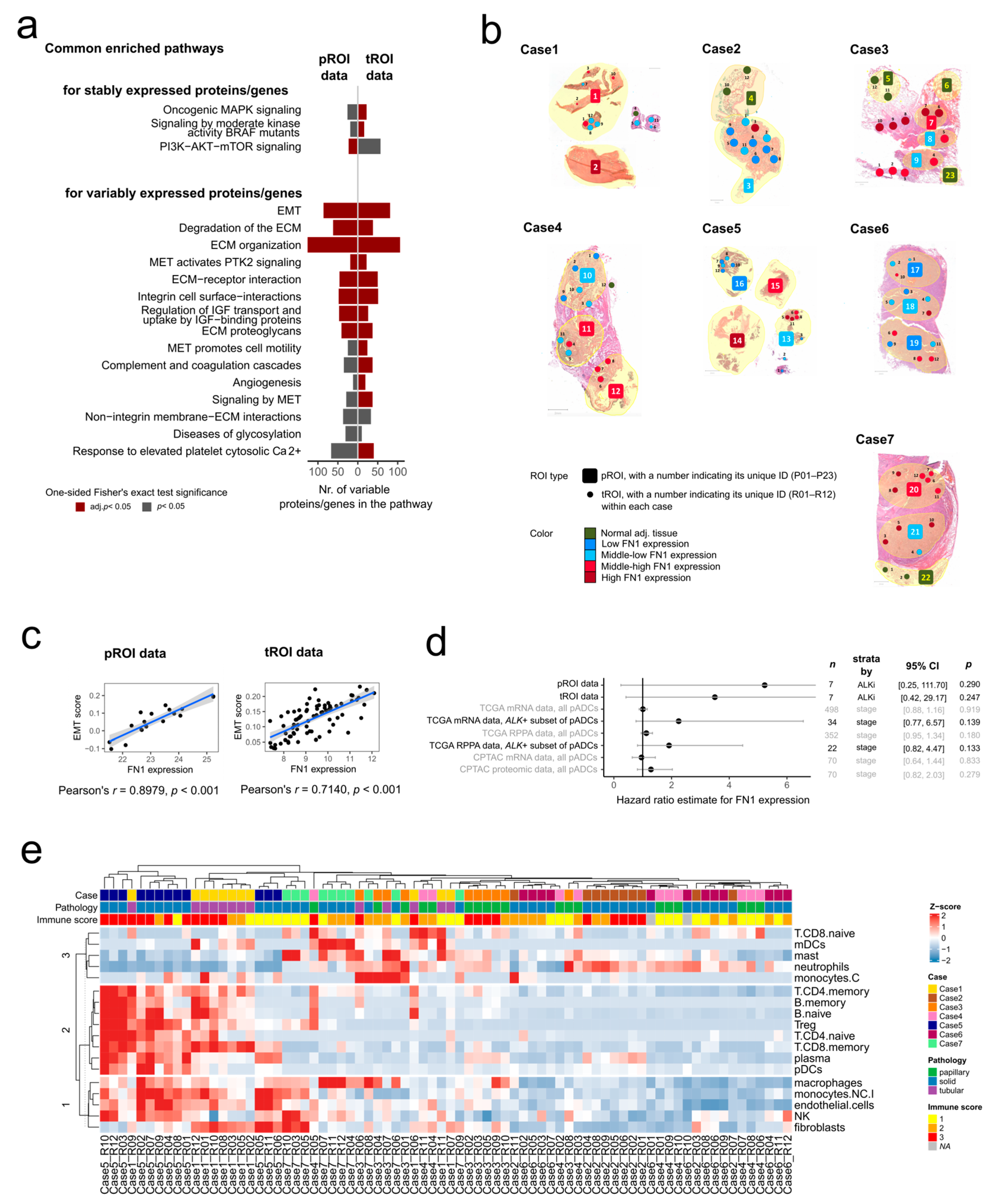 Ijms 24 11369 g003 Ijms 24 11369 g003