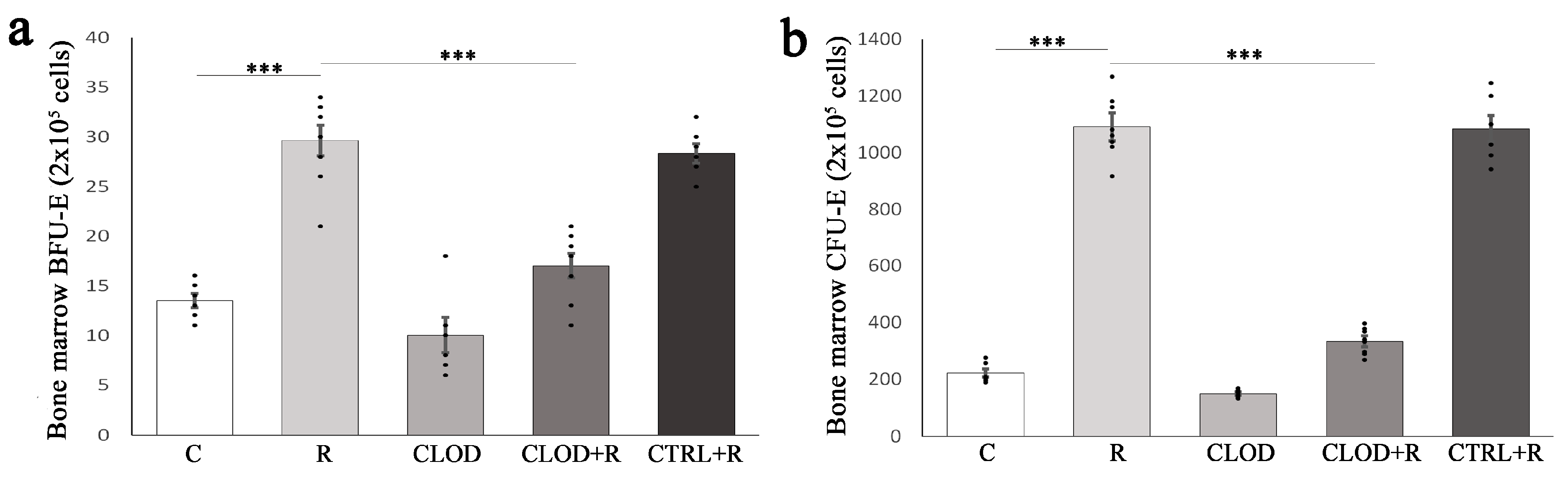 Ijms 24 11373 g001 Ijms 24 11373 g001