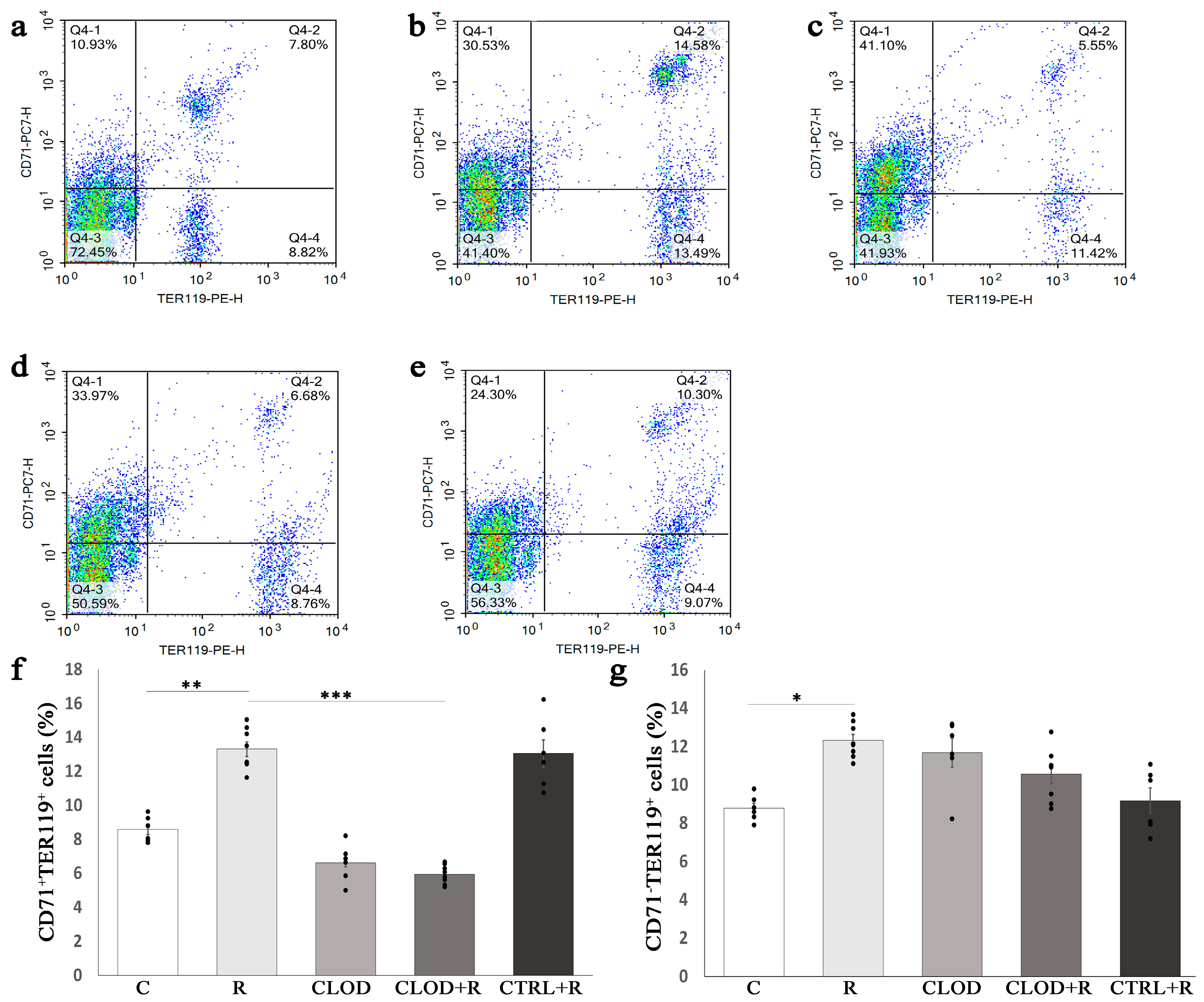 Ijms 24 11373 g004 Ijms 24 11373 g004