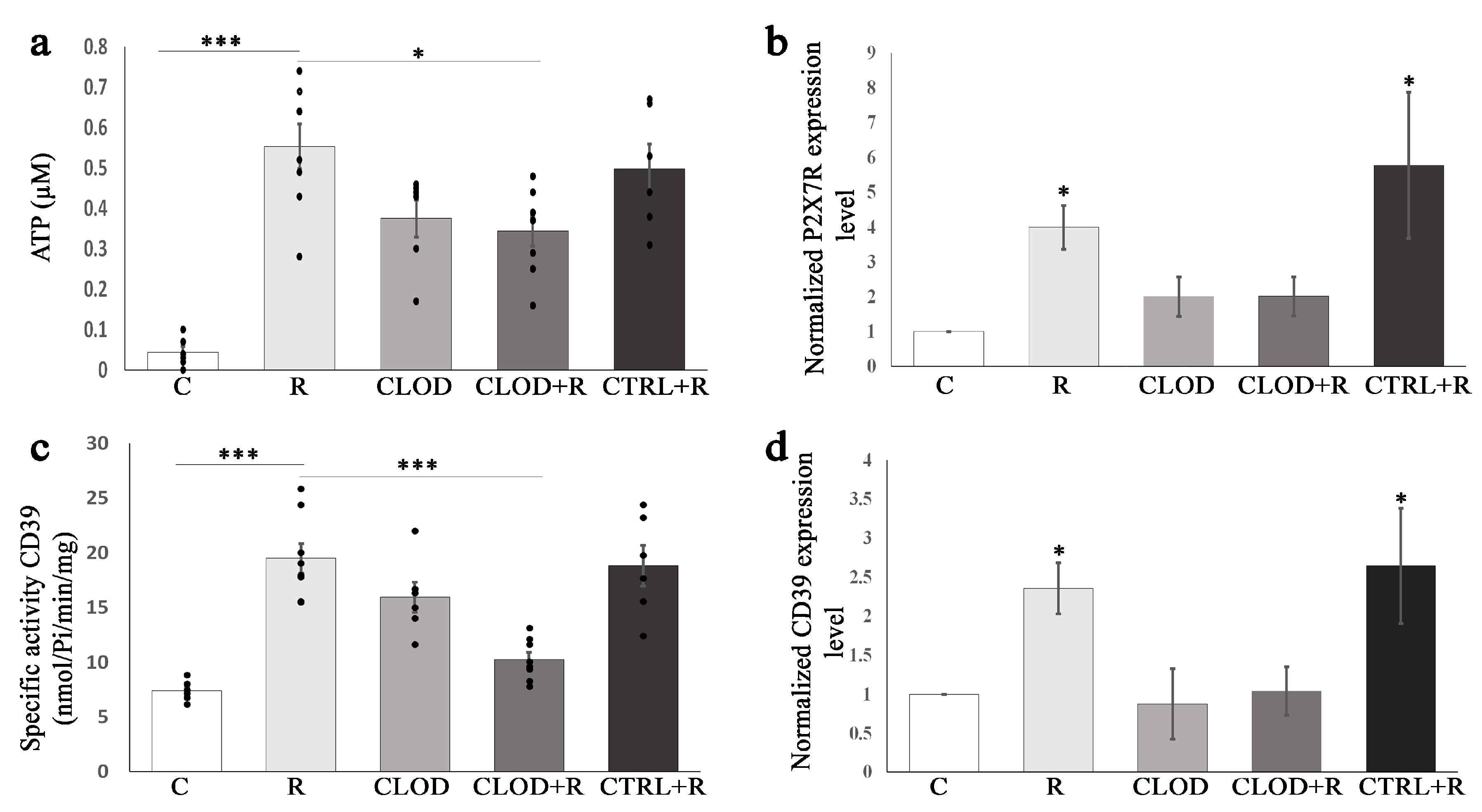 Ijms 24 11373 g007 Ijms 24 11373 g007