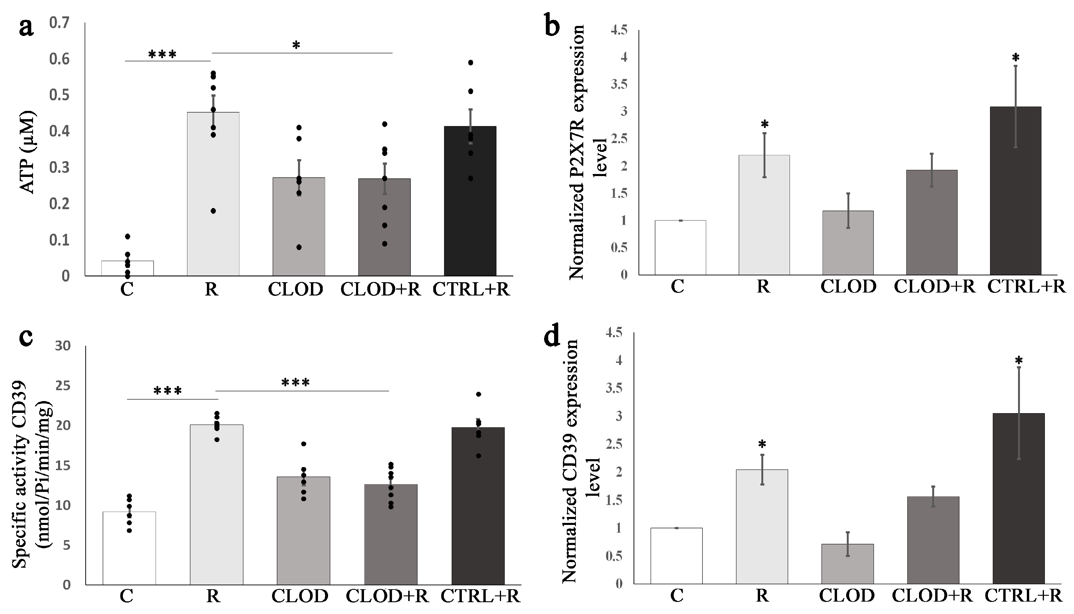 Ijms 24 11373 g008 Ijms 24 11373 g008